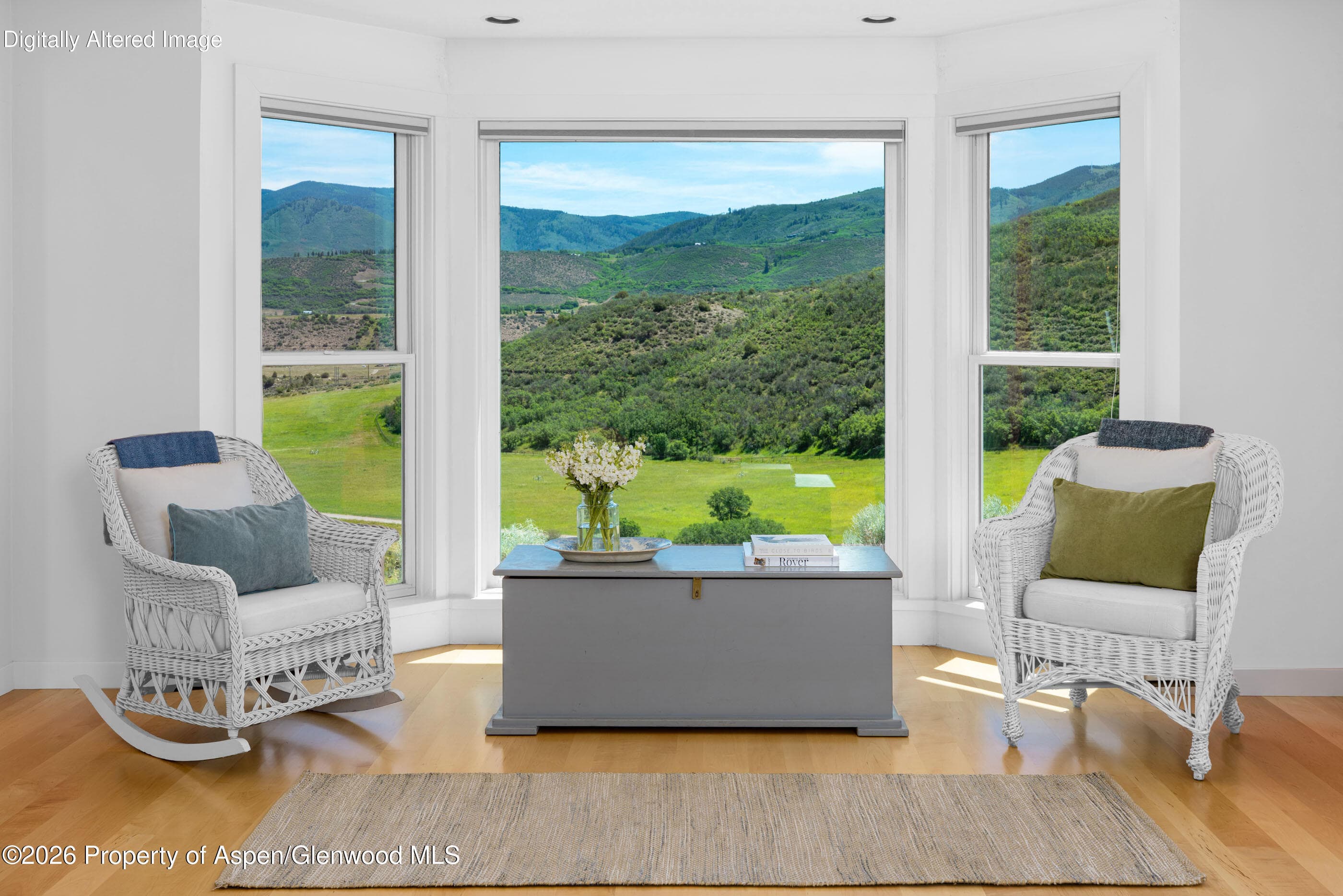 679 Brush Creek Road, Aspen, CO 81611 - Photo 10