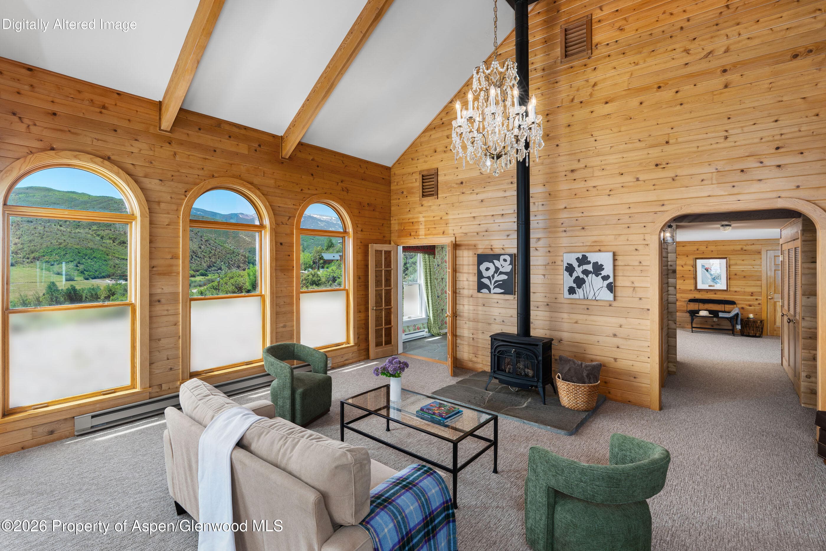 679 Brush Creek & Tbd Medicine Bow Road, Aspen, CO 81611 - Photo 18