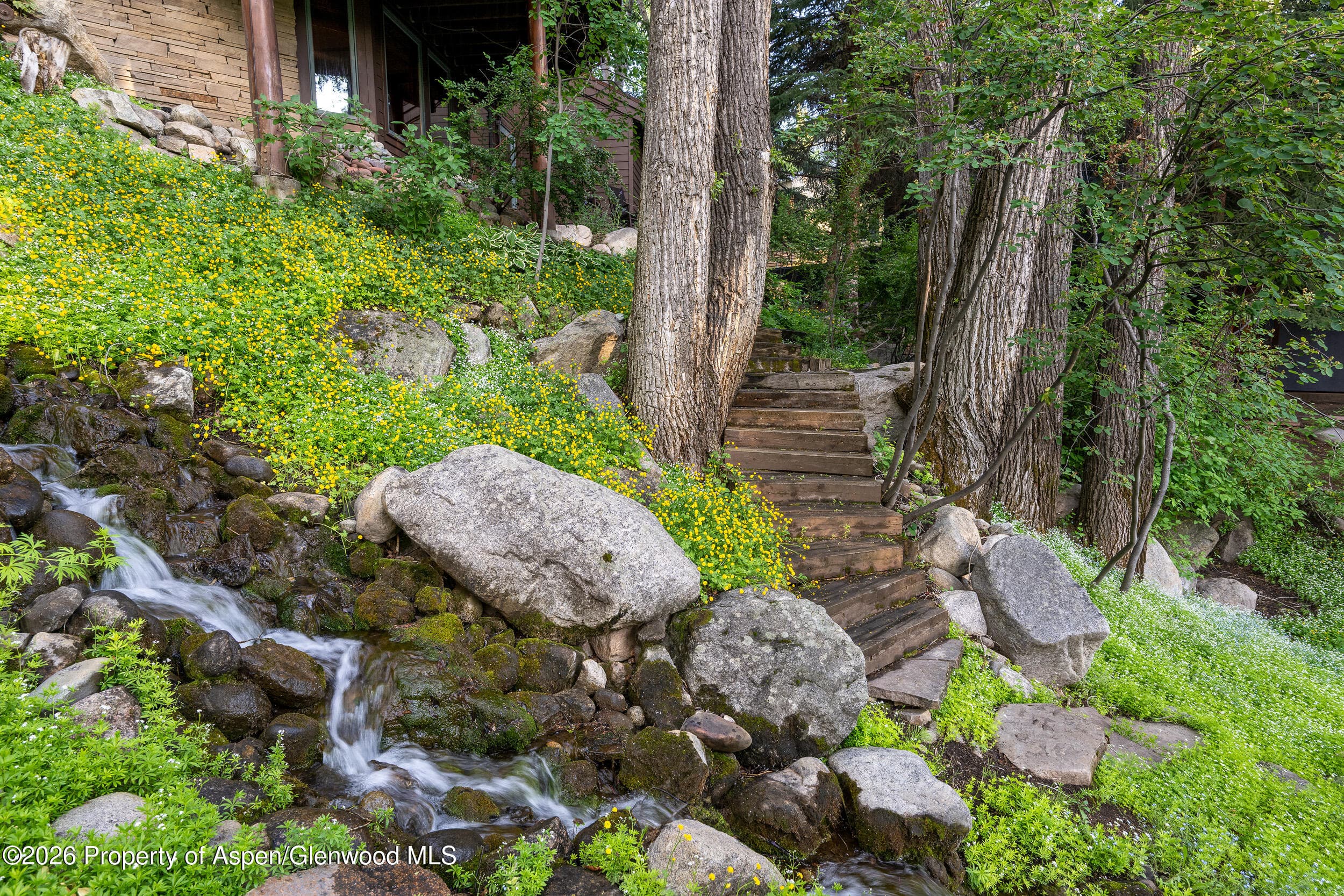 115 Neale Avenue, Aspen, CO 81611 - Photo 30