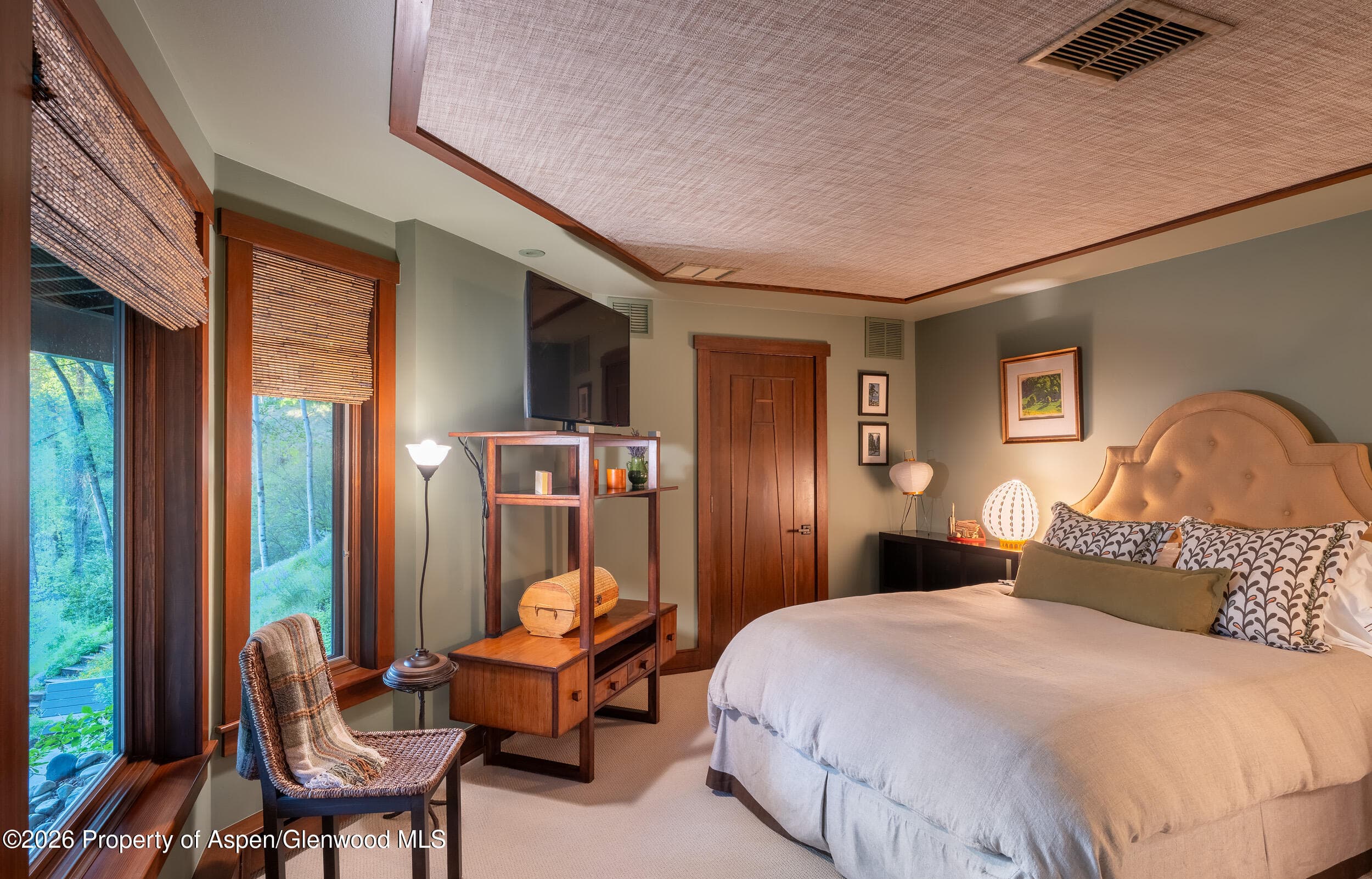 115 Neale Avenue, Aspen, CO 81611 - Photo 22