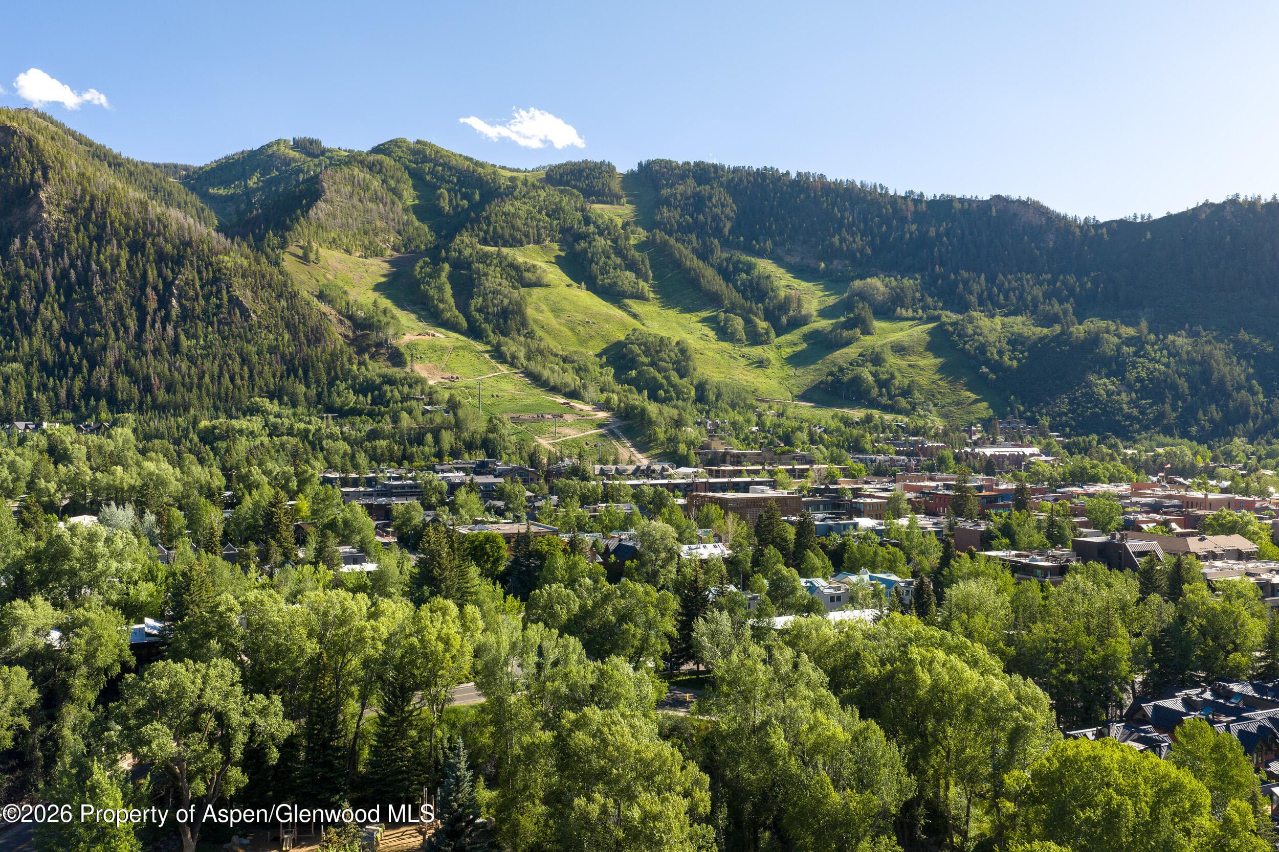 115 Neale Avenue, Aspen, CO 81611 - Photo 35