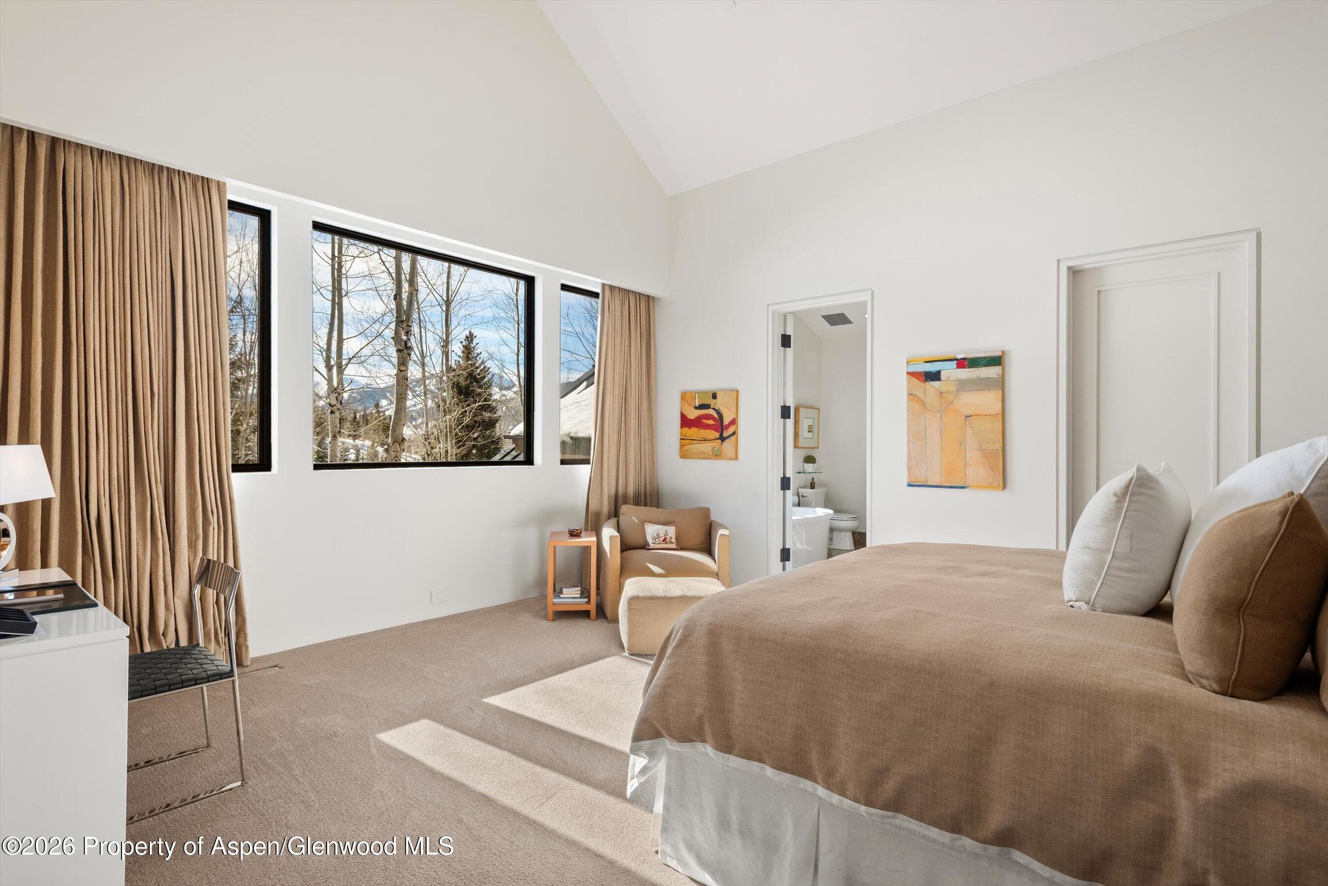 372 Sunnyside Lane, Aspen, CO 81611 - Photo 32