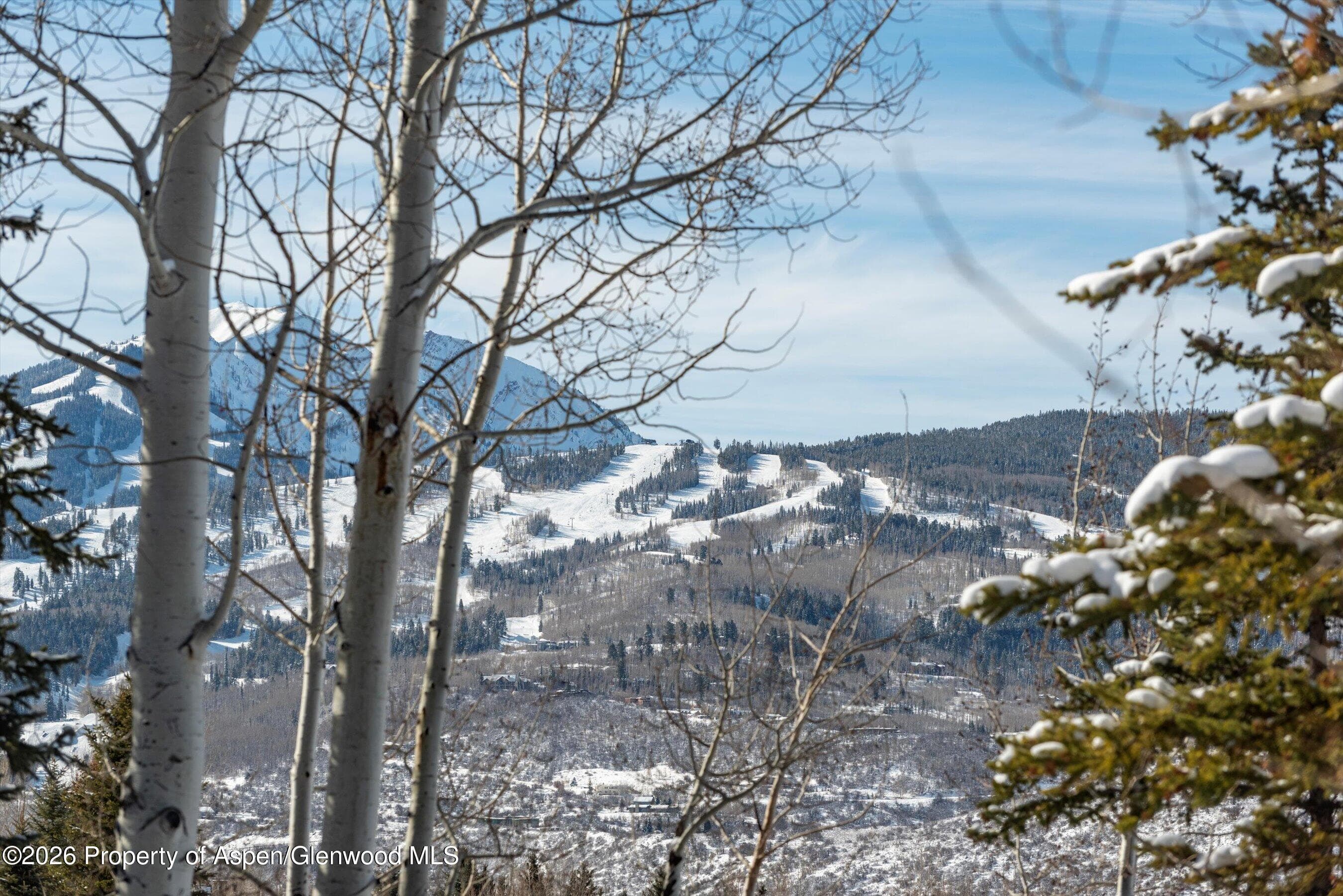 372 Sunnyside Lane, Aspen, CO 81611 - Photo 59