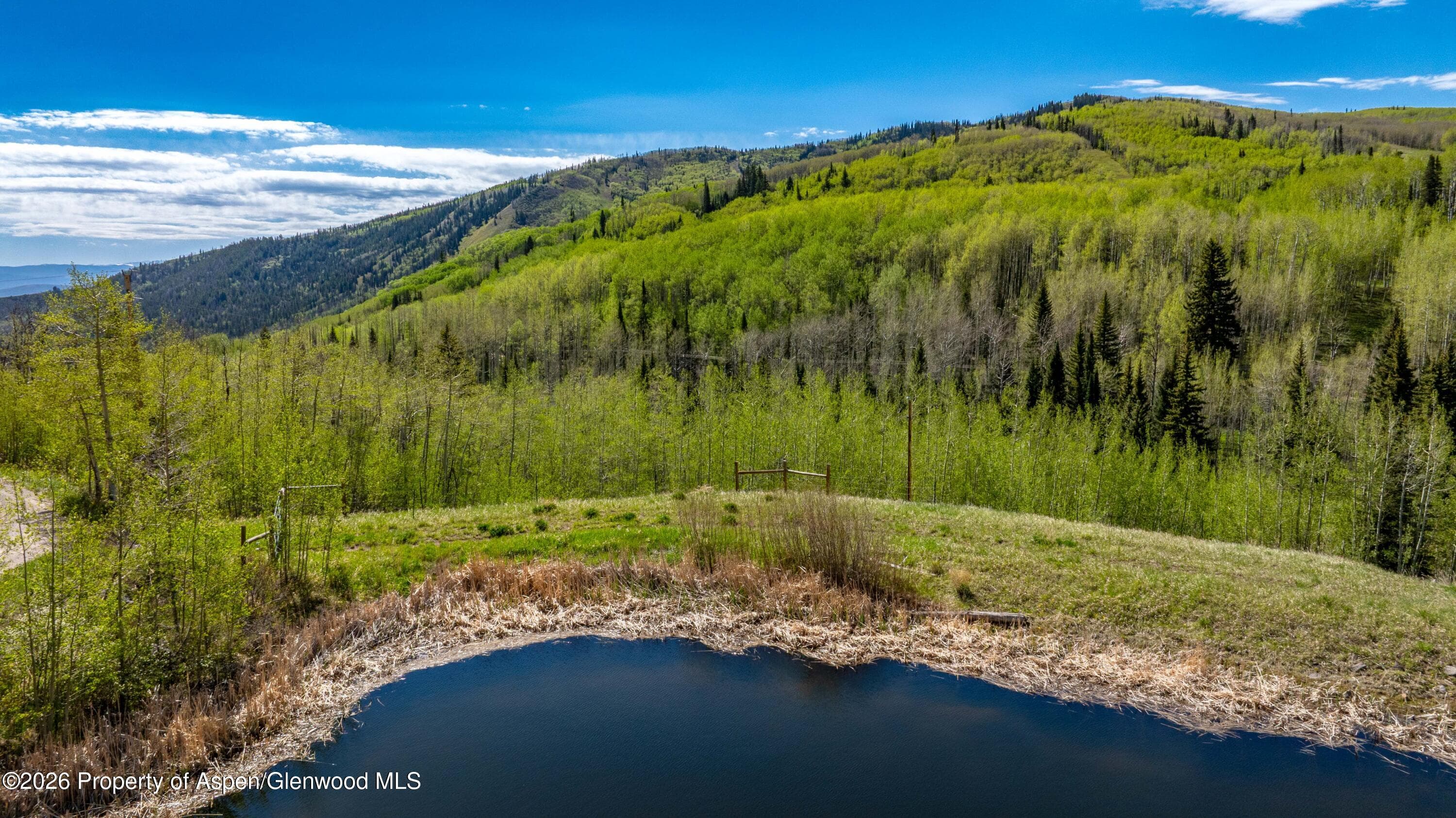 Tbd Forest Service Road 300 Pond, Glenwood Springs, CO 81601