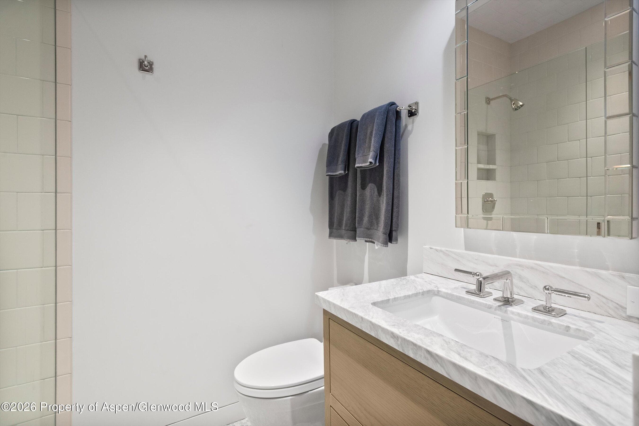 614 W North Street, Aspen, CO 81611 - Photo 10