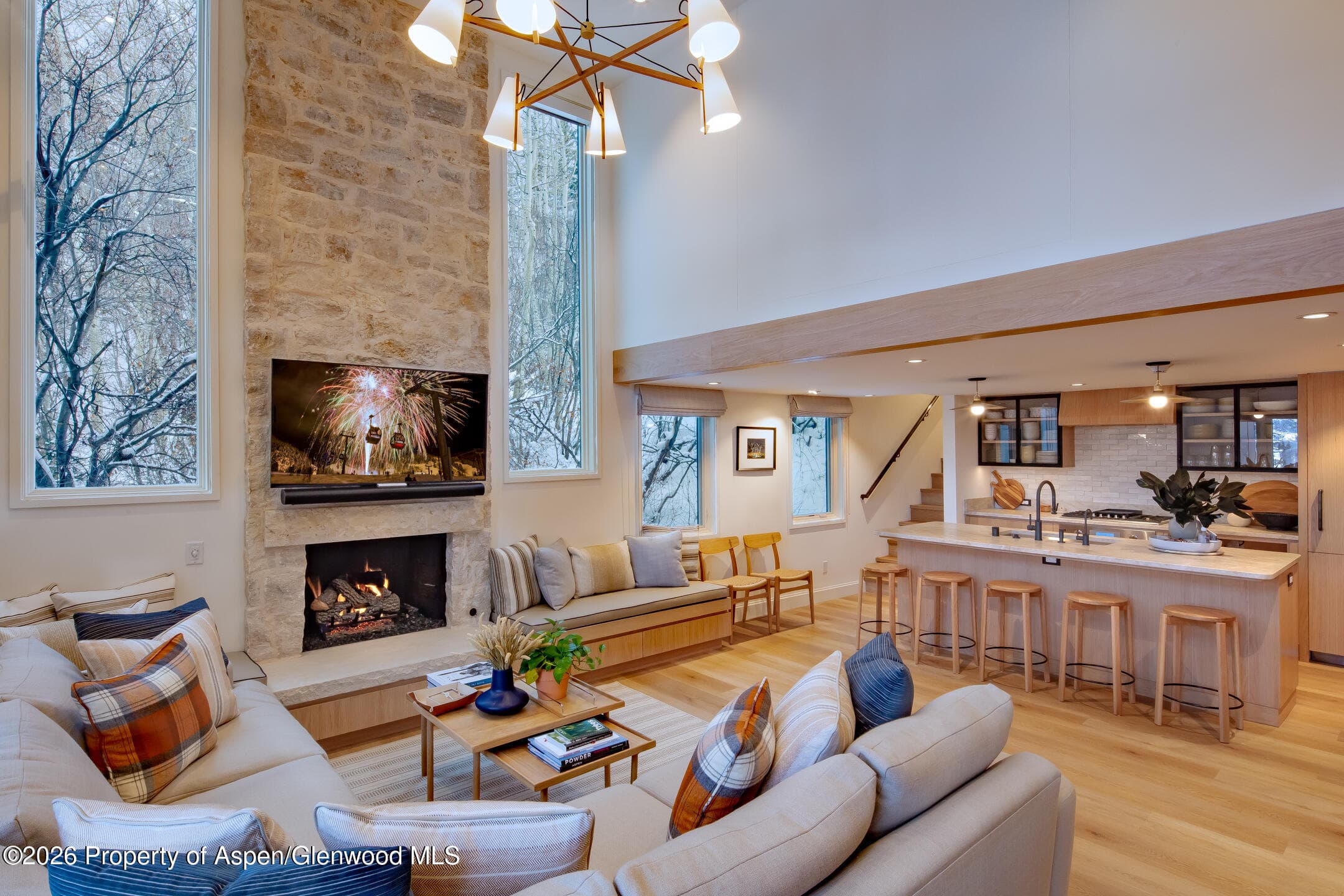 800 S Mill Street 201, Aspen, CO 81611