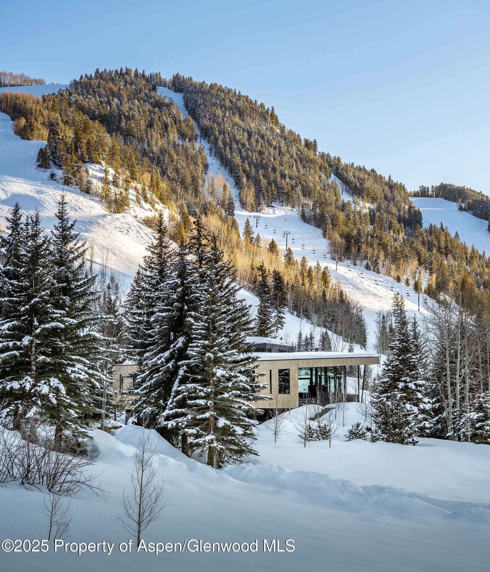 296 Glen Dee Road, Aspen, CO 81611 - Photo 56