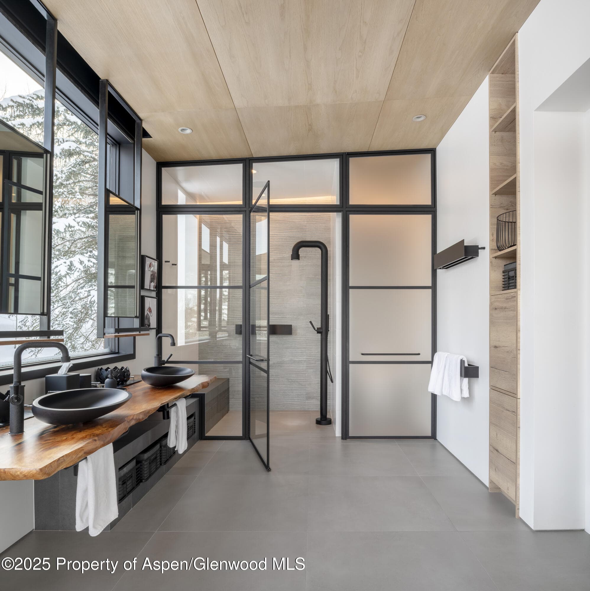 296 Glen Dee Road, Aspen, CO 81611 - Photo 19