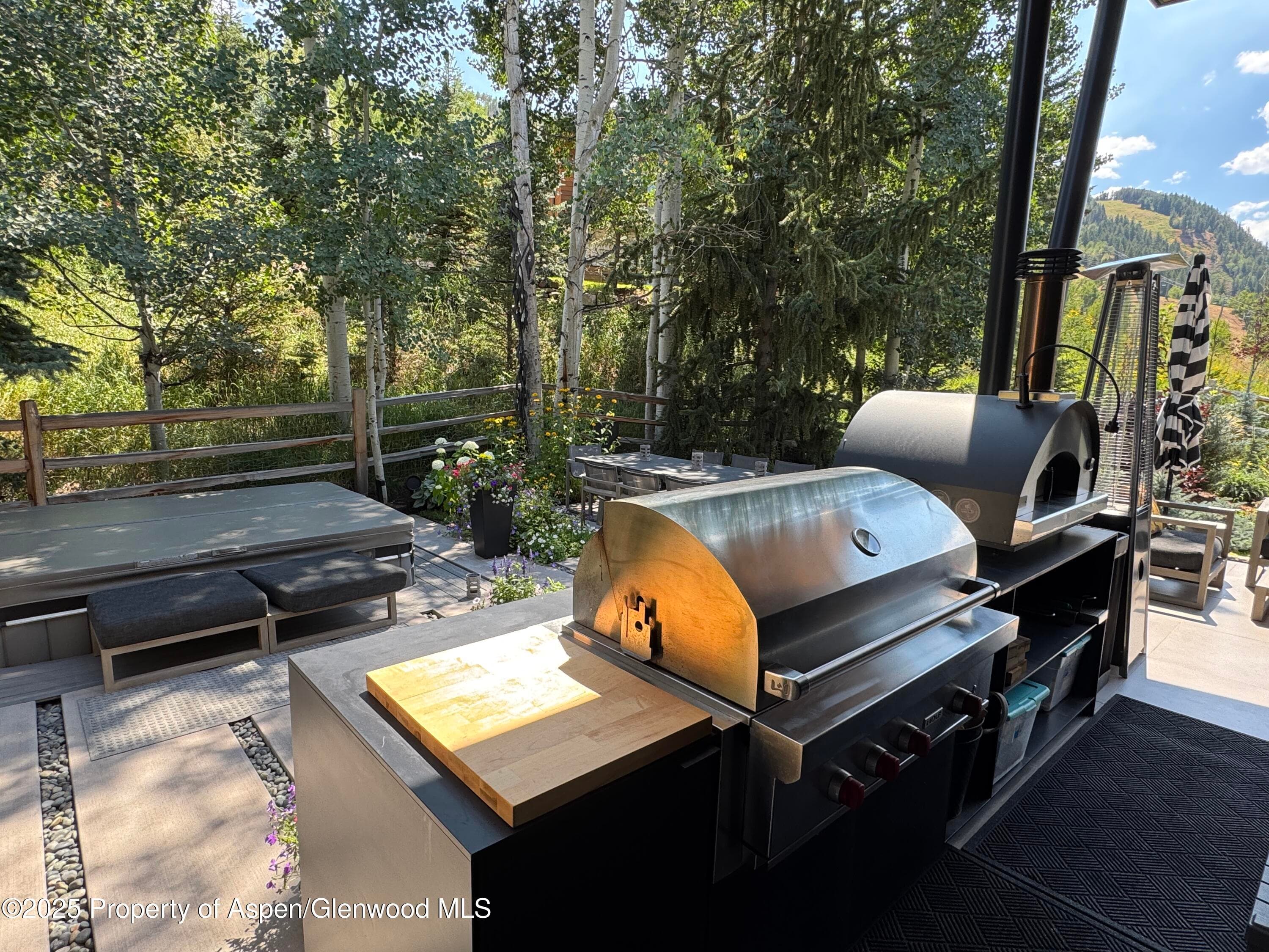 296 Glen Dee Road, Aspen, CO 81611 - Photo 49