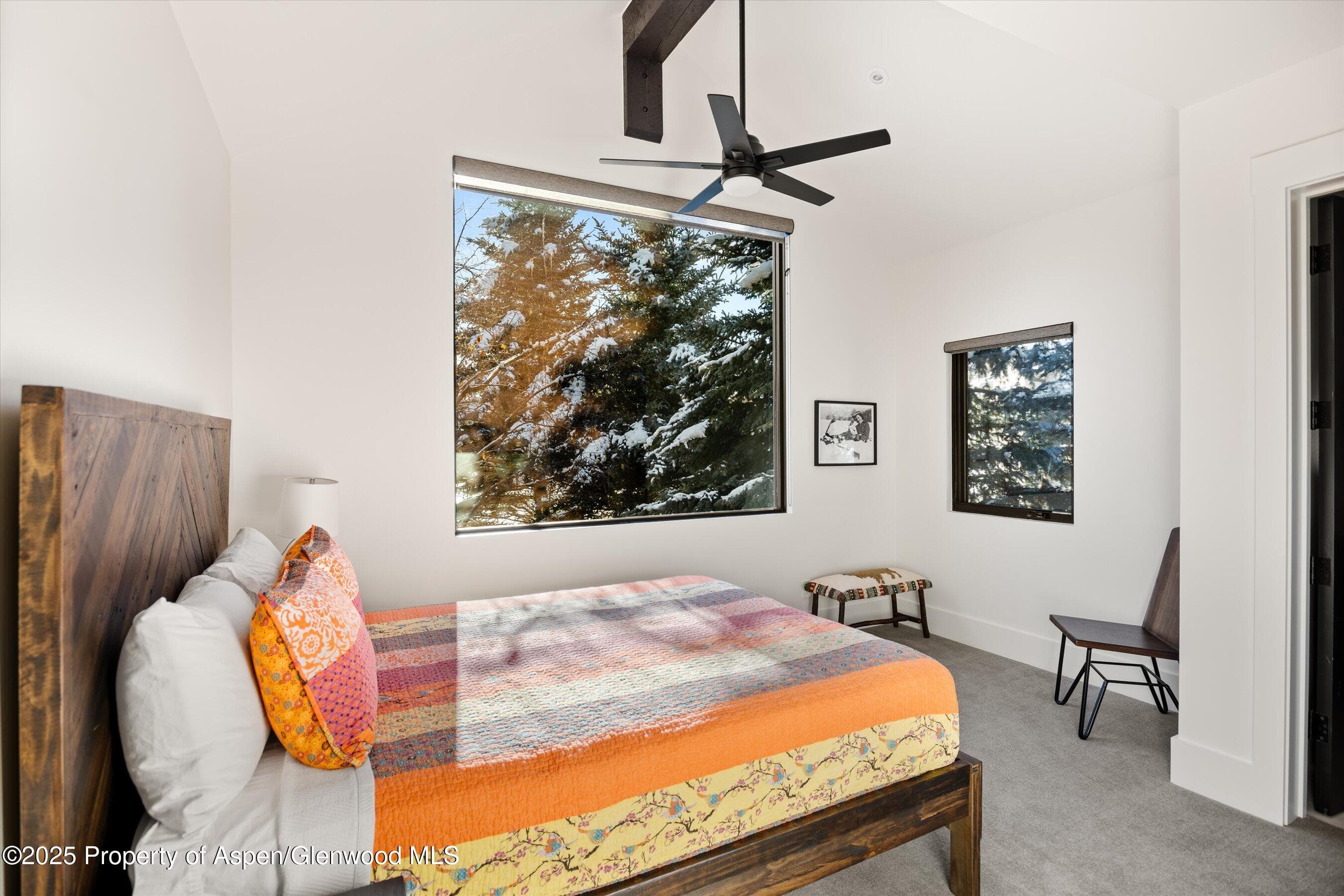 139 River Glen Road, Carbondale, CO 81623 - Photo 21