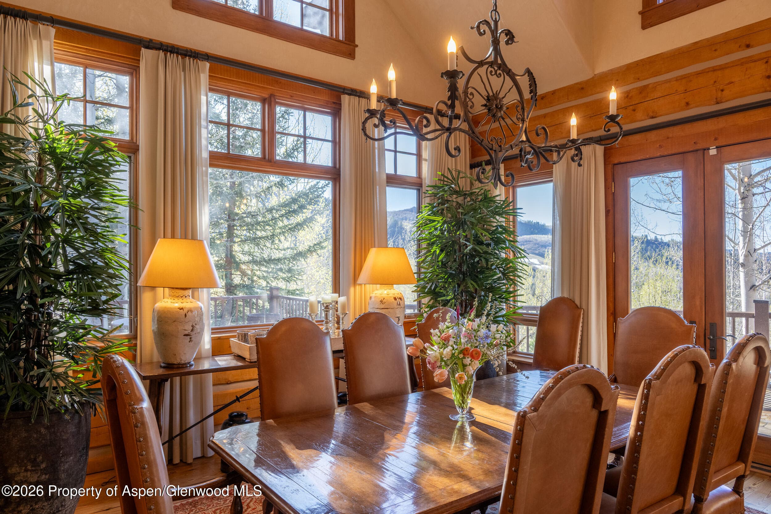 56 Five Trees Lane, Aspen, CO 81611 - Photo 10