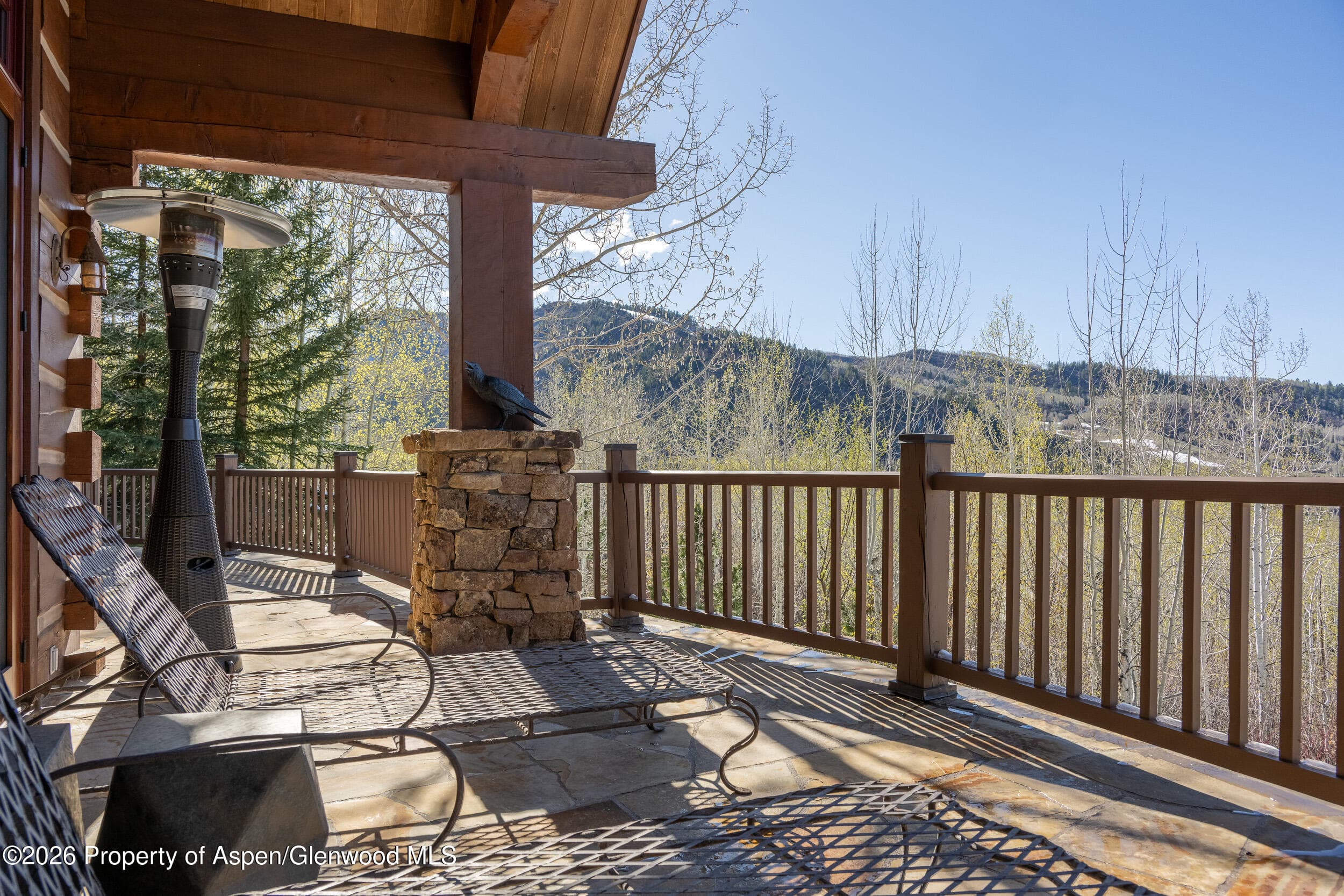 56 Five Trees Lane, Aspen, CO 81611 - Photo 33