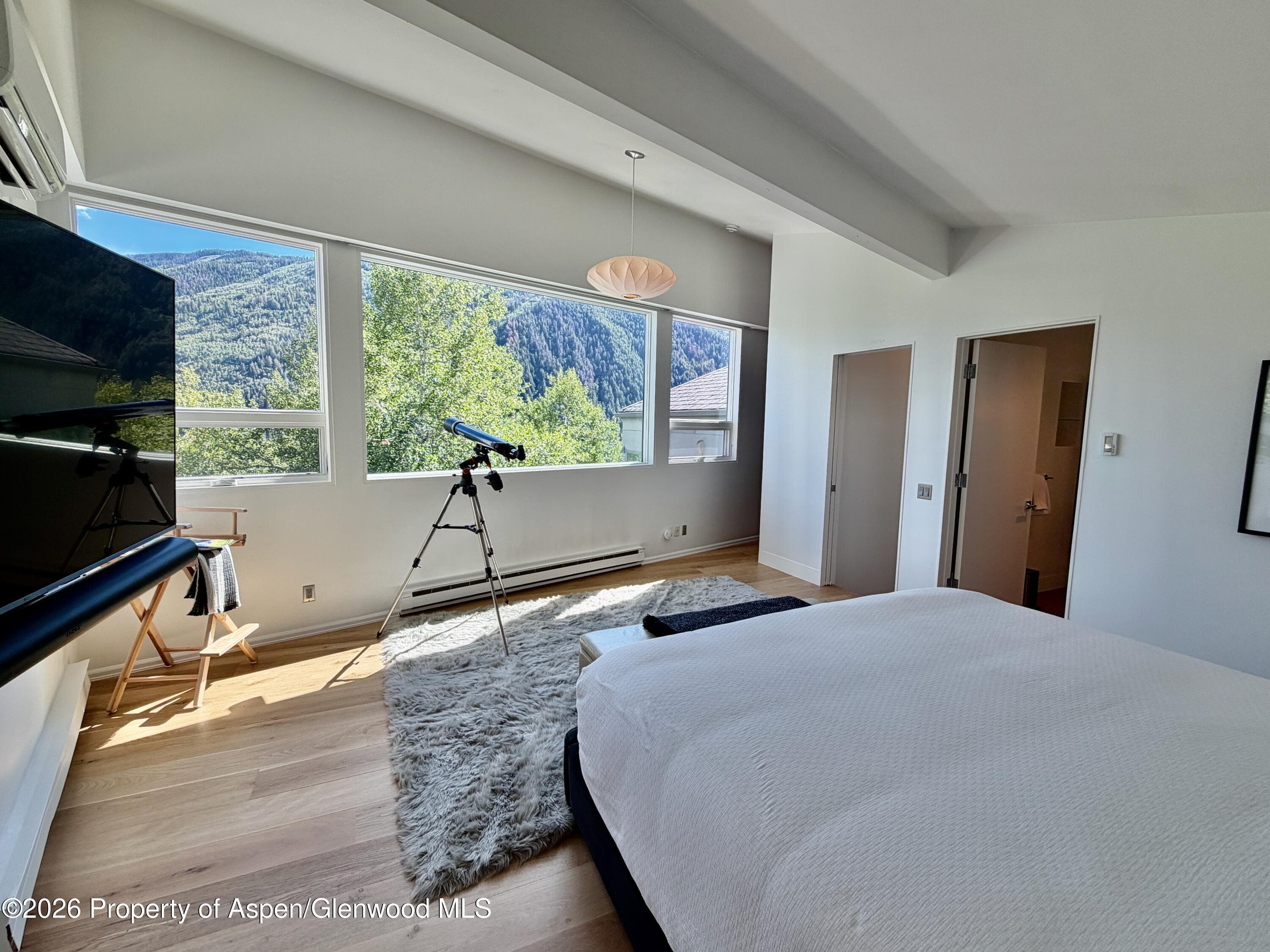 602 Mountain Laurel Drive, Aspen, CO 81611 - Photo 15