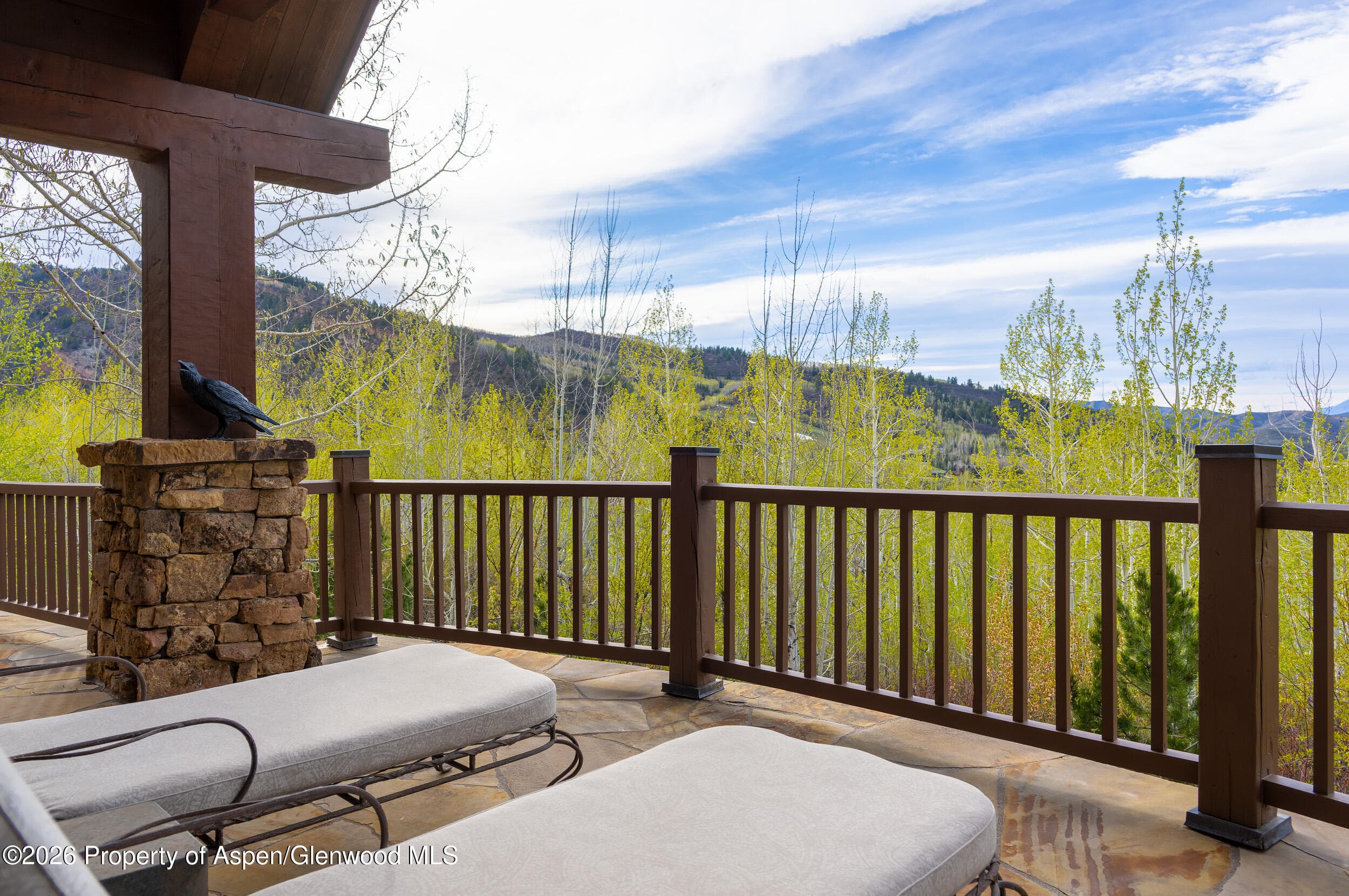 56 Five Trees Lane, Aspen, CO 81611 - Photo 36
