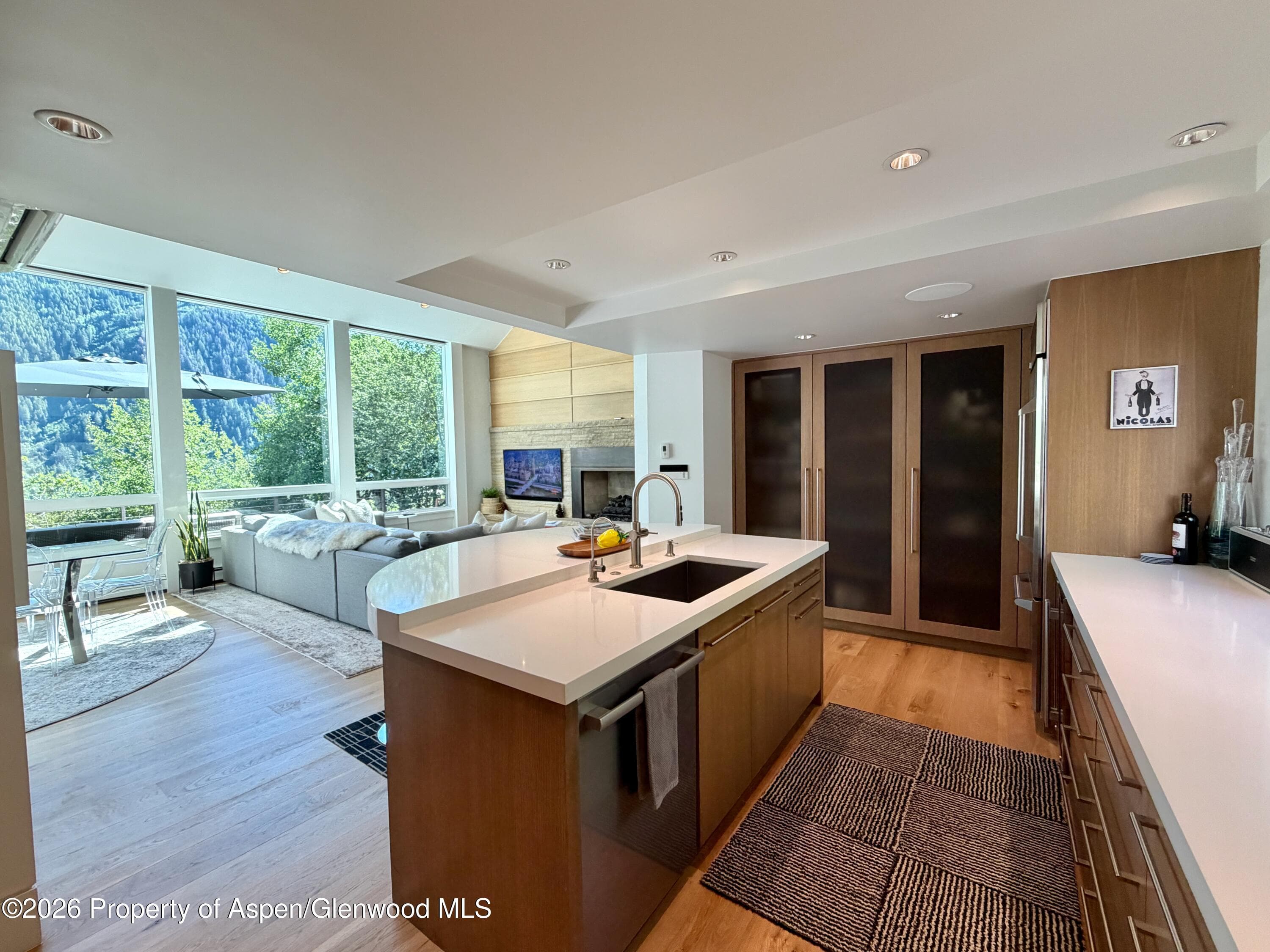602 Mountain Laurel Drive, Aspen, CO 81611 - Photo 11