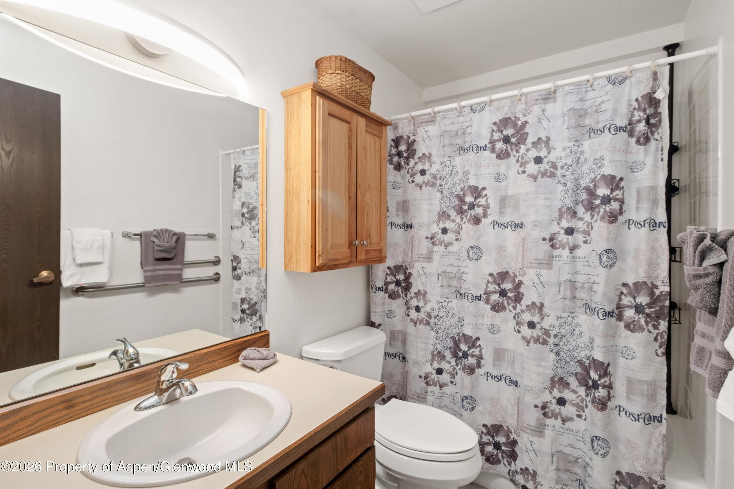 2505 Cisar Court 3d, Glenwood Springs, CO 81601 - Photo 9