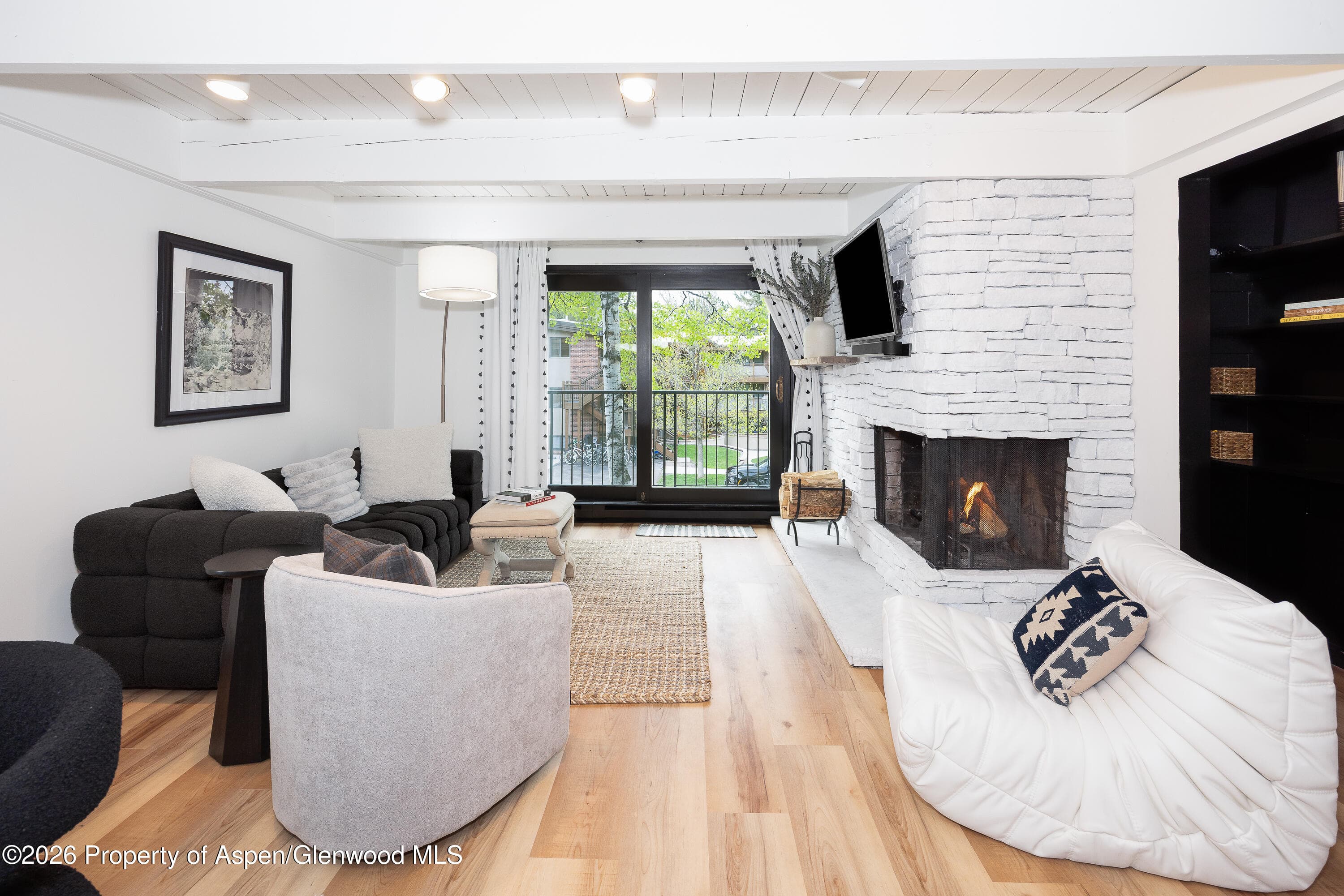 901 E Hyman Avenue 4, Aspen, CO 81611 - Photo 3