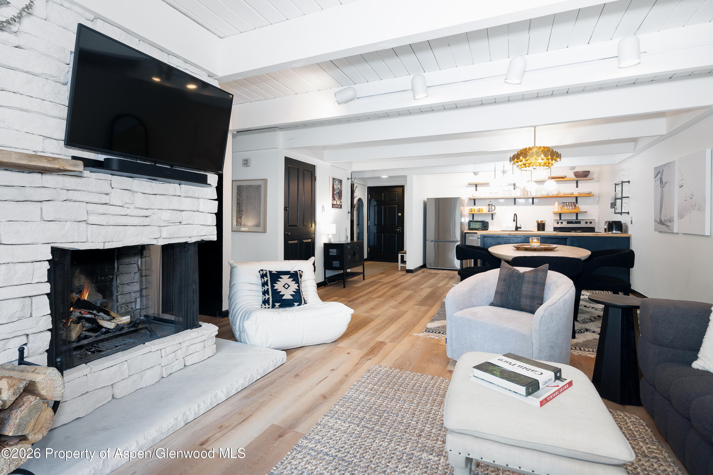 901 E Hyman Avenue 4, Aspen, CO 81611 - Photo 2