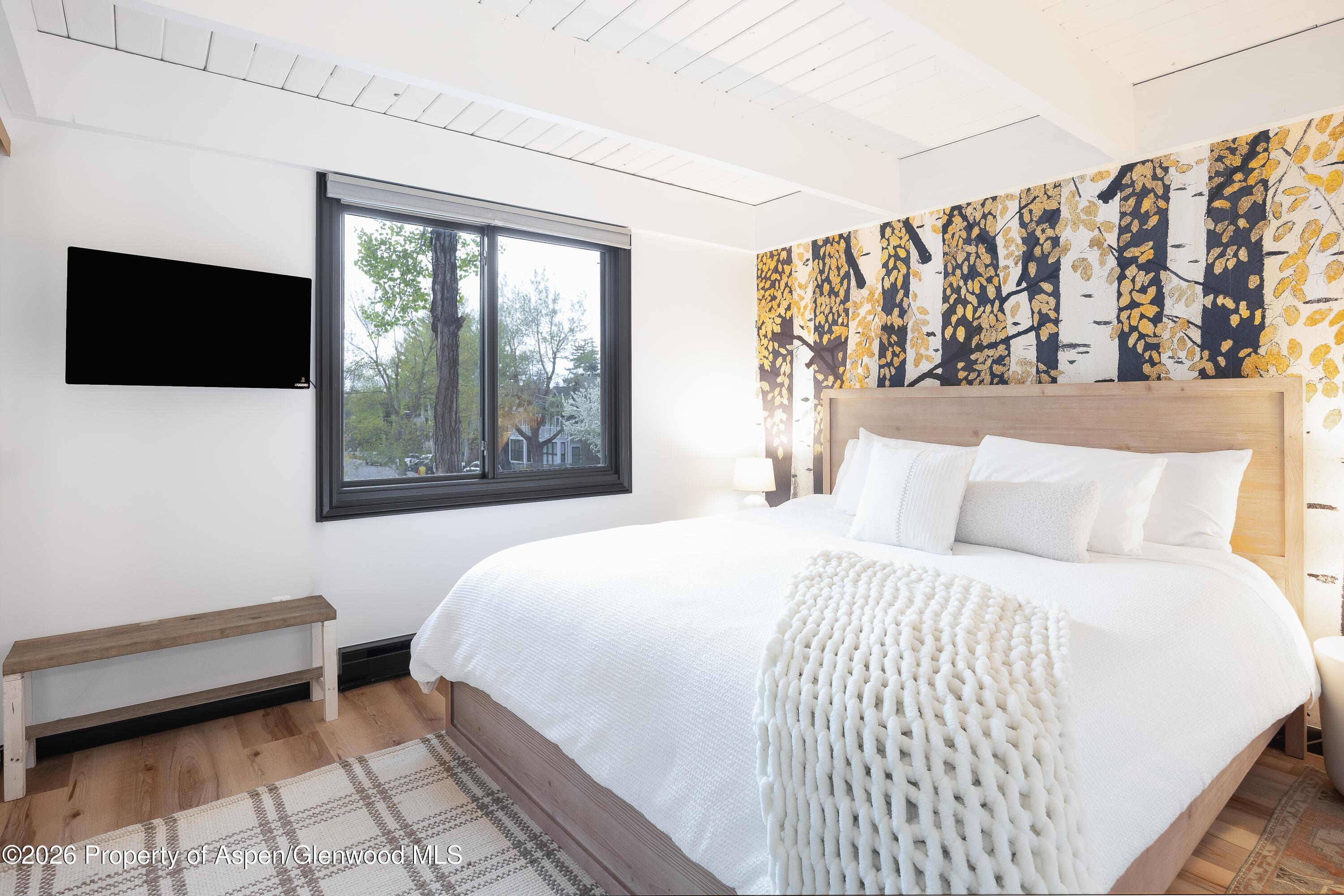 901 E Hyman Avenue 4, Aspen, CO 81611 - Photo 7