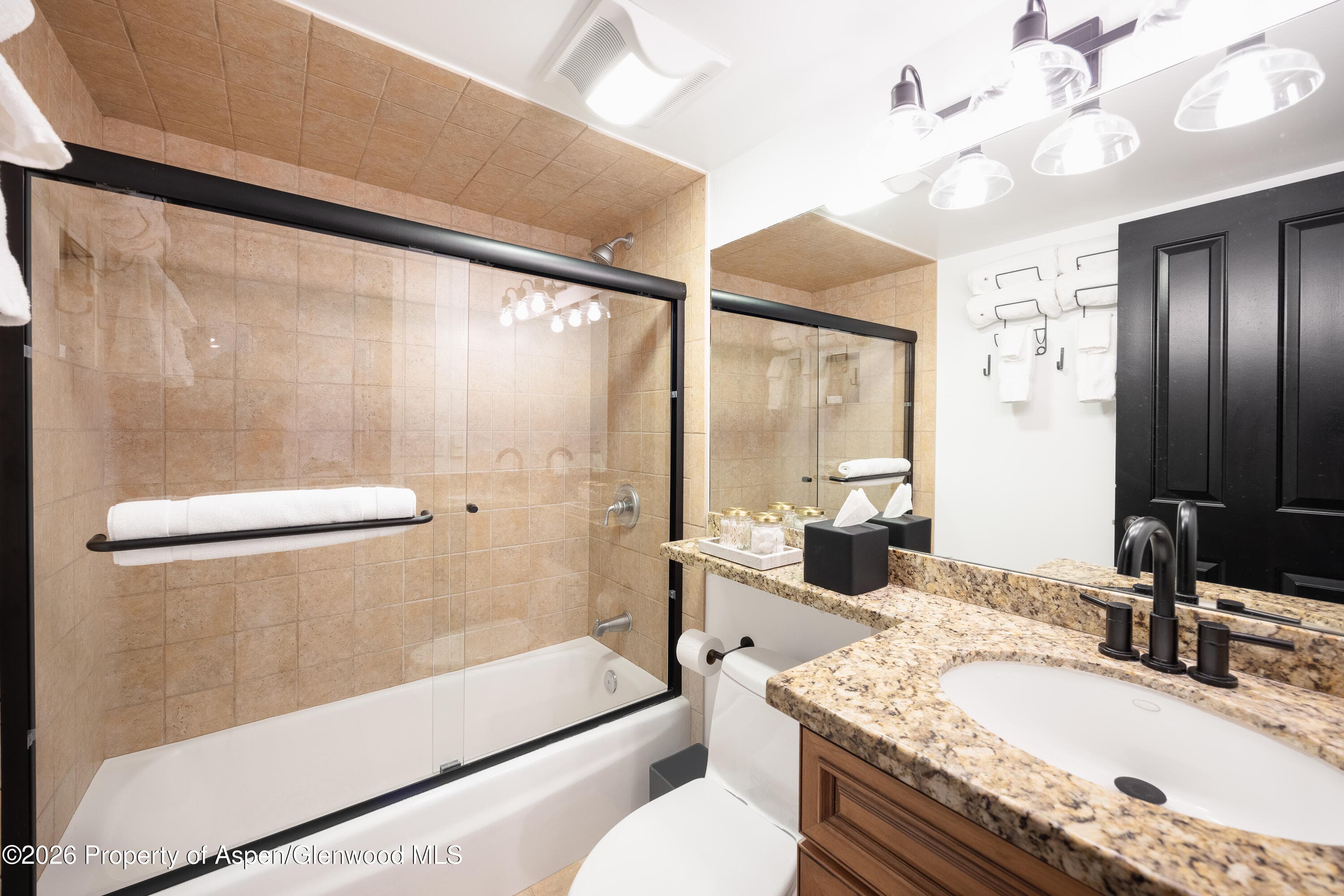 901 E Hyman Avenue 4, Aspen, CO 81611 - Photo 9