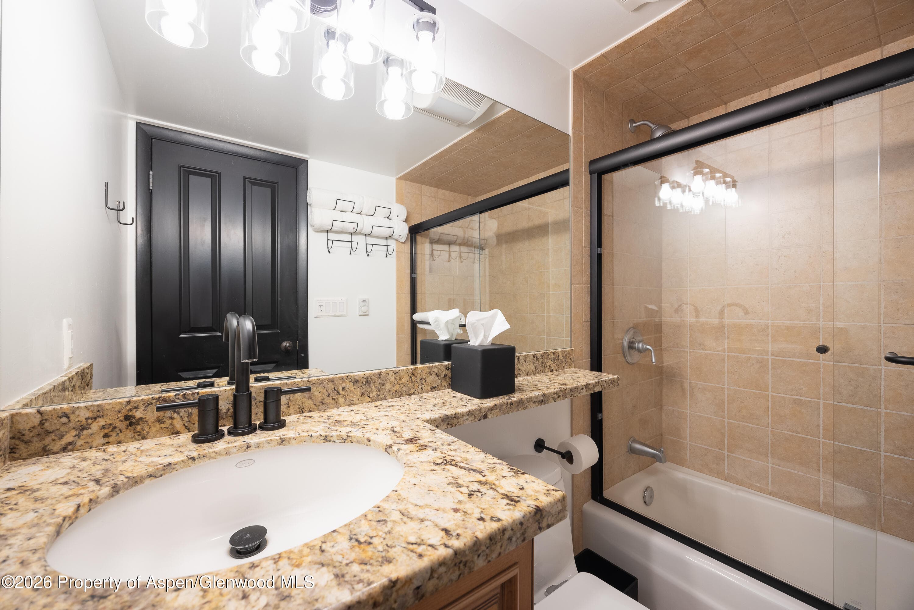 901 E Hyman Avenue 4, Aspen, CO 81611 - Photo 12