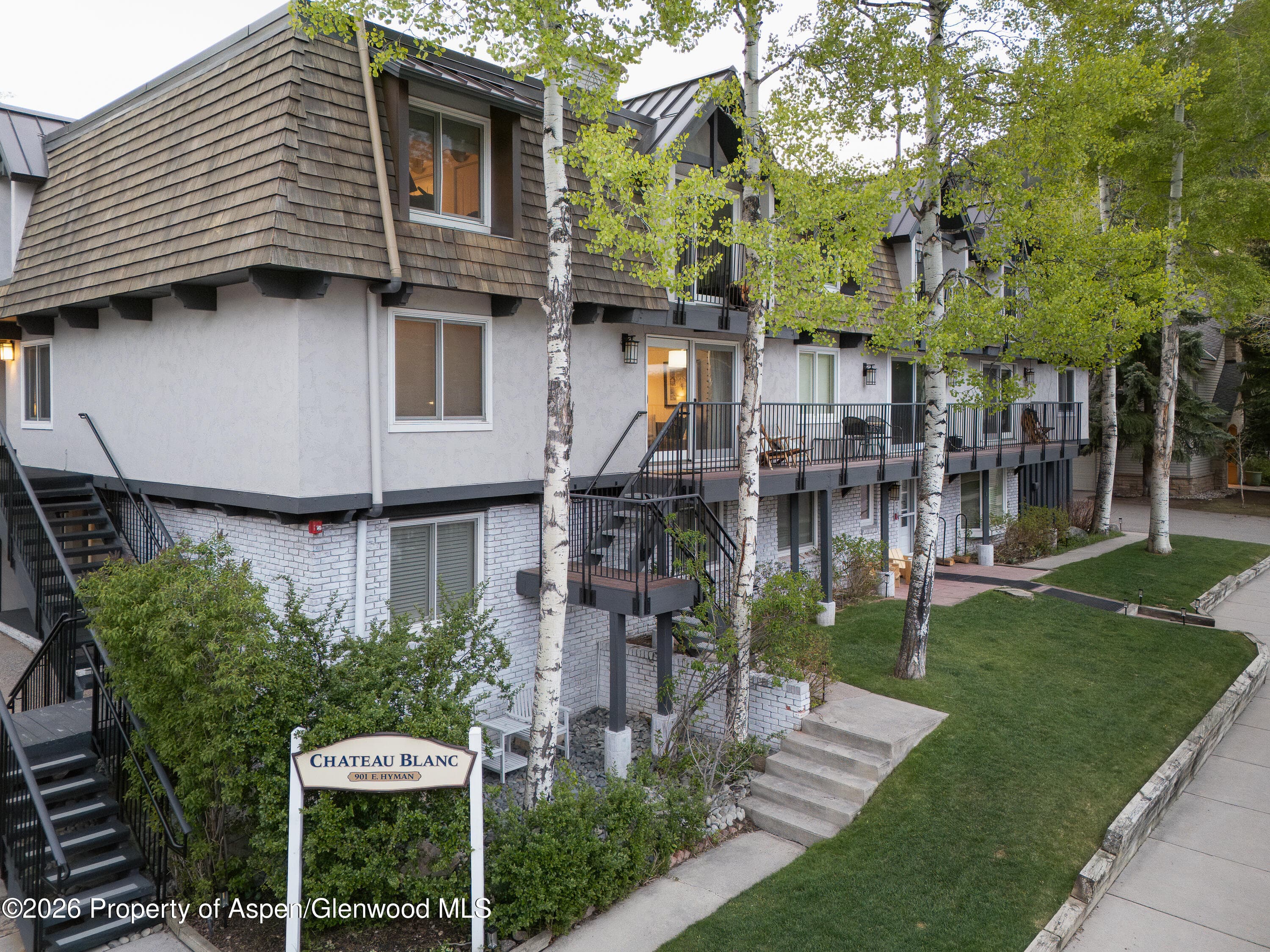 901 E Hyman Avenue 4, Aspen, CO 81611 - Photo 14