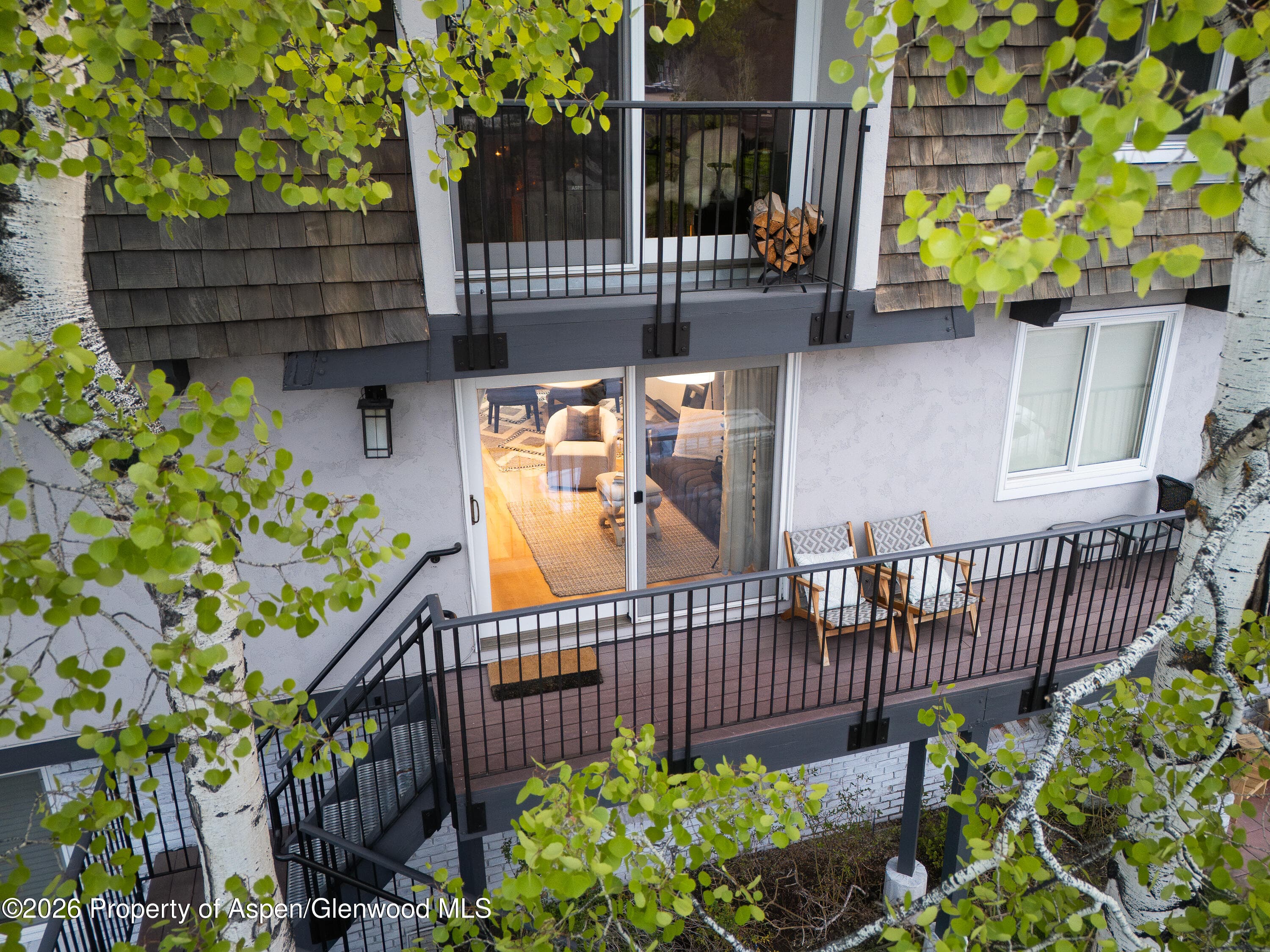 901 E Hyman Avenue 4, Aspen, CO 81611 - Photo 15
