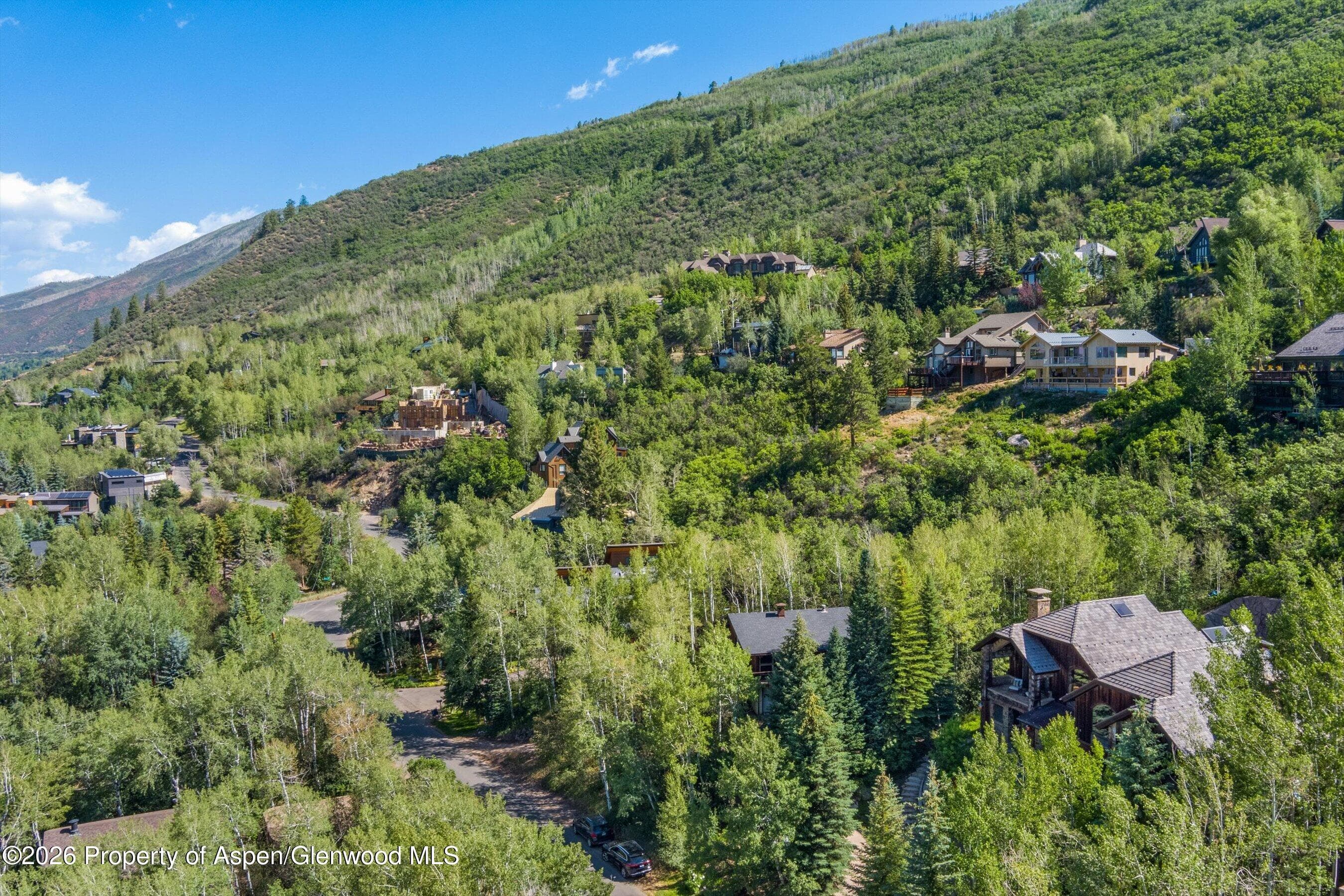 268 Mountain Laurel Drive, Aspen, CO 81611 - Photo 38