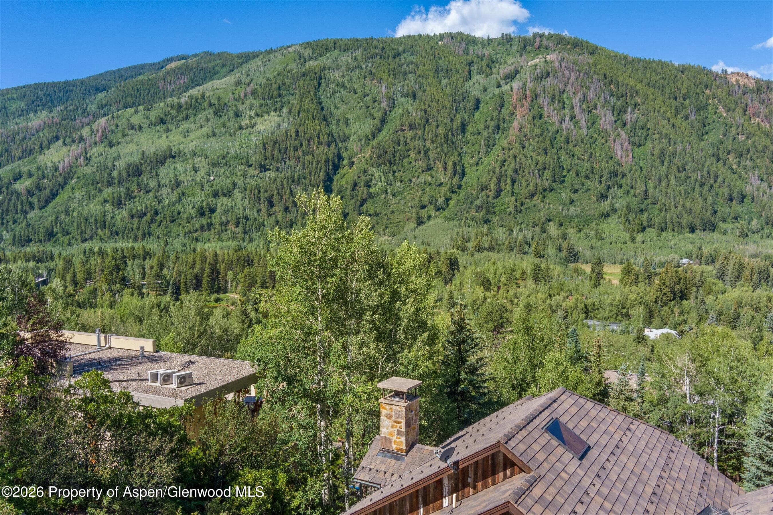 268 Mountain Laurel Drive, Aspen, CO 81611 - Photo 44