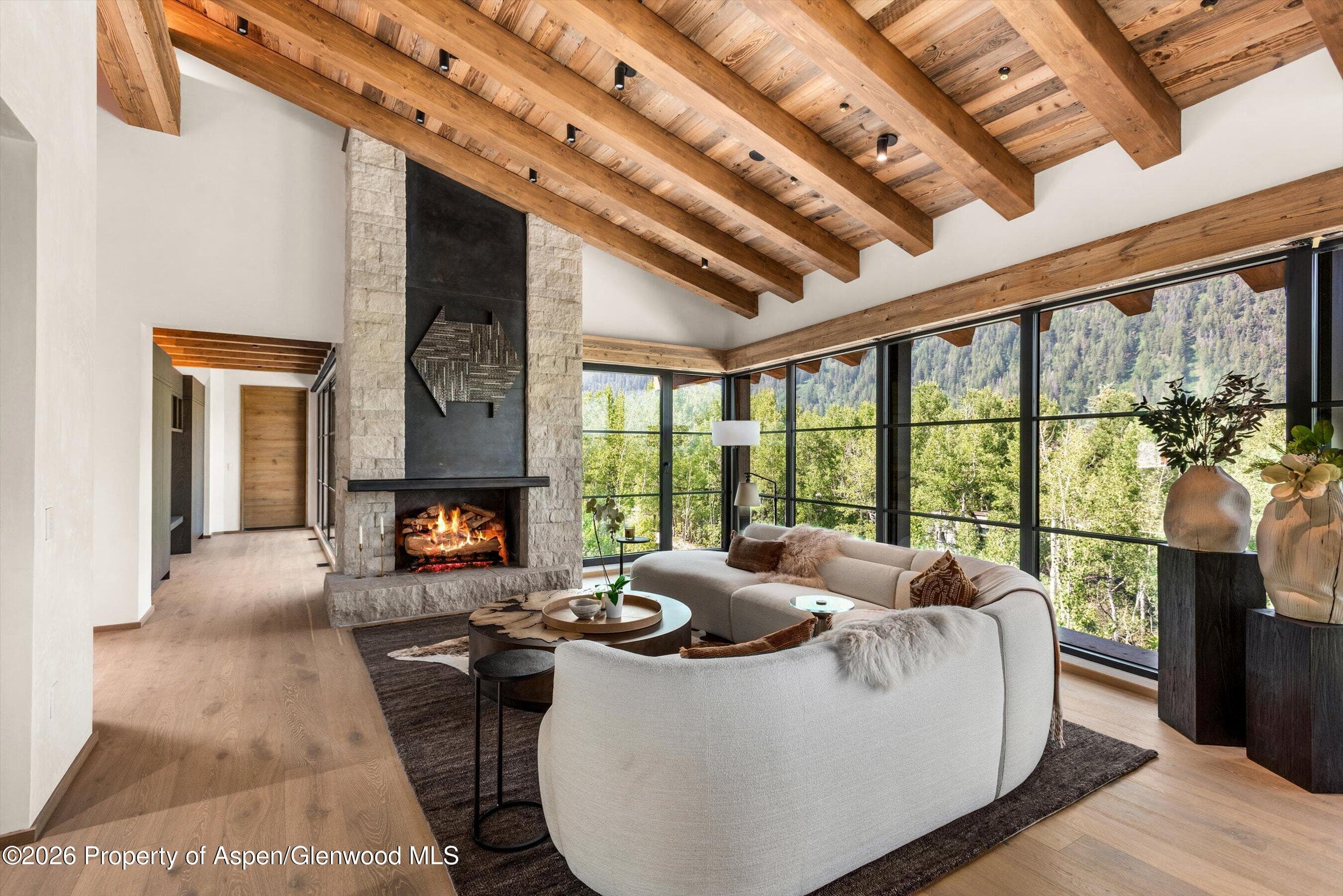 96 Mcskimming Road, Aspen, CO 81611 - Photo 7
