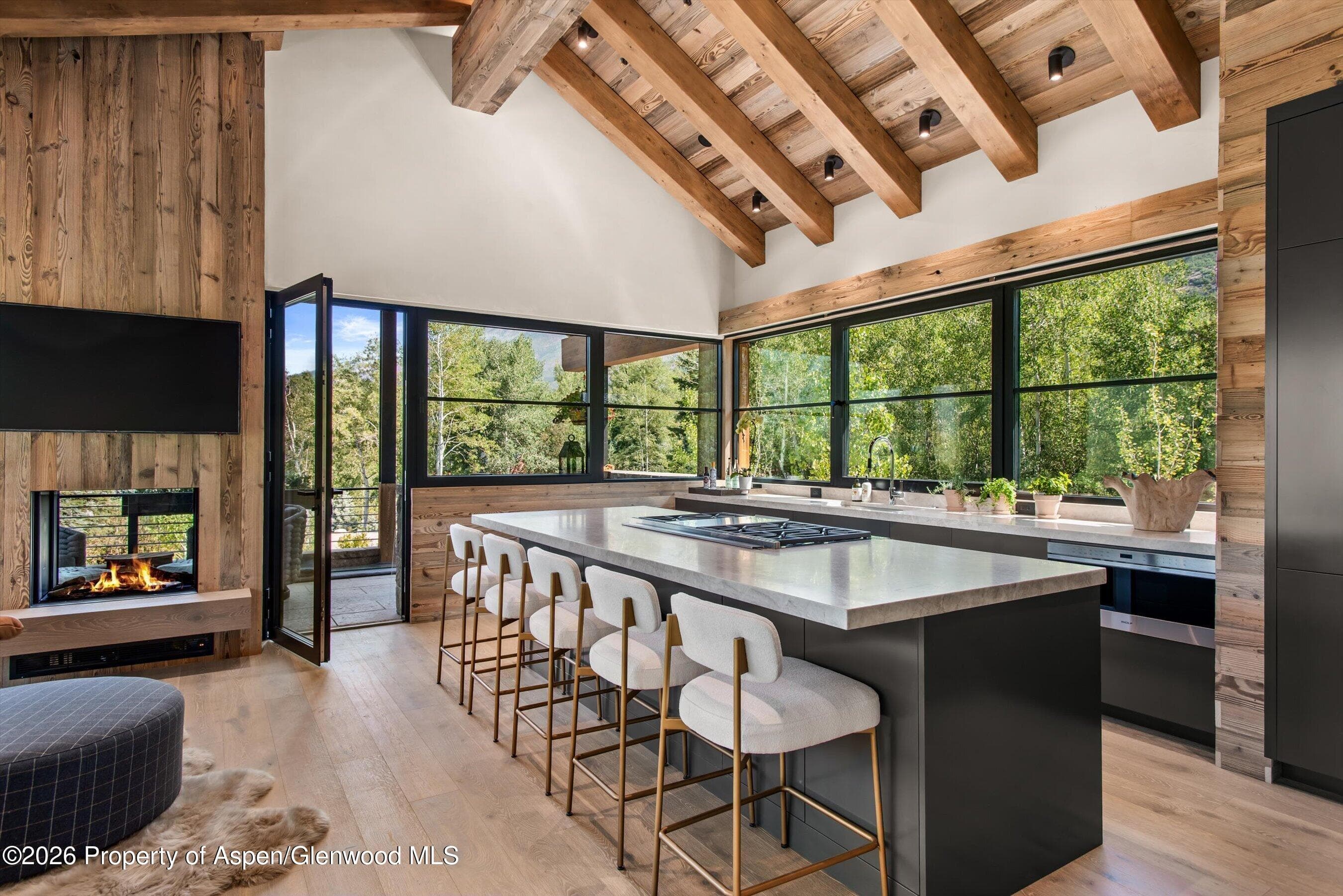 96 Mcskimming Road, Aspen, CO 81611 - Photo 10