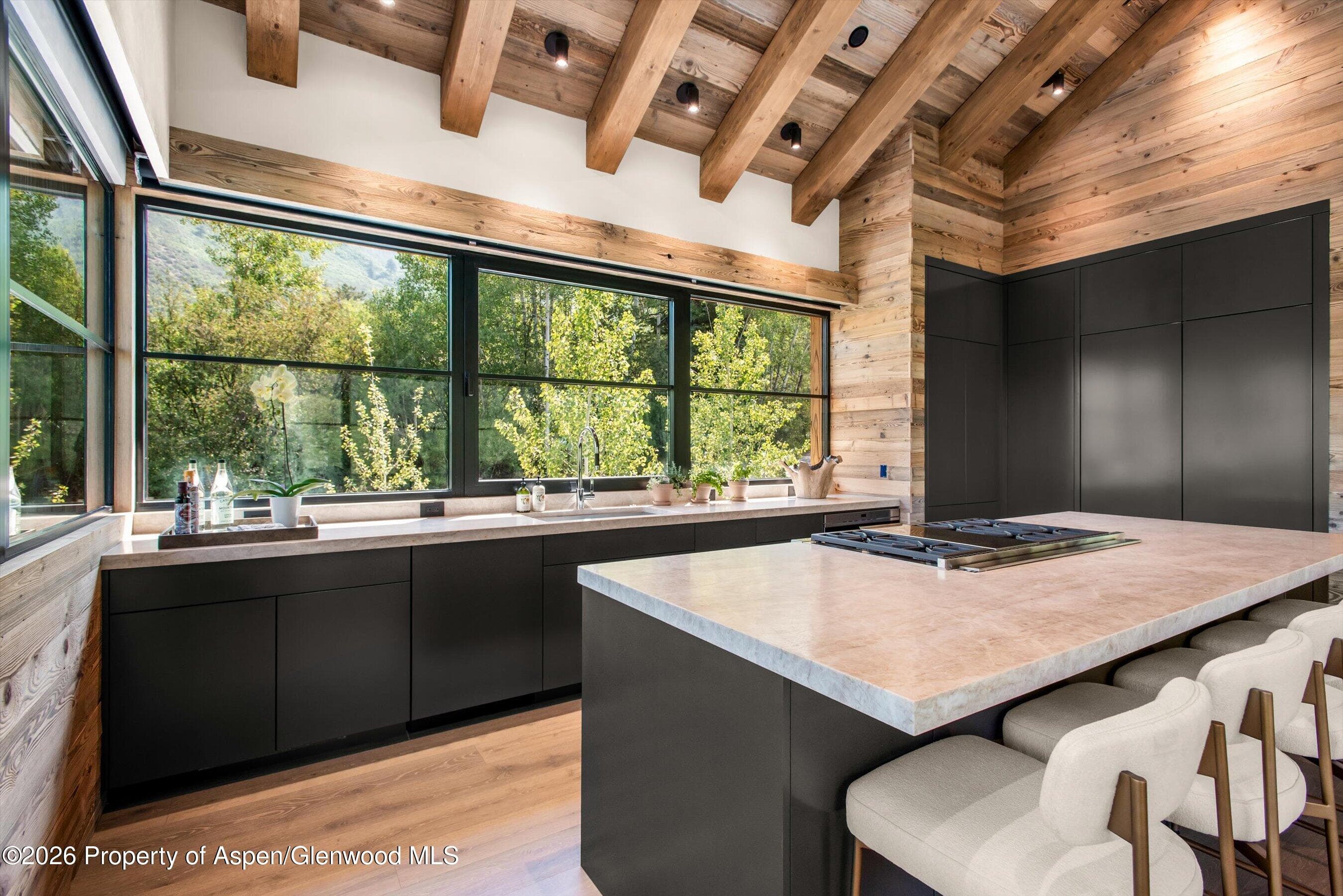 96 Mcskimming Road, Aspen, CO 81611 - Photo 12