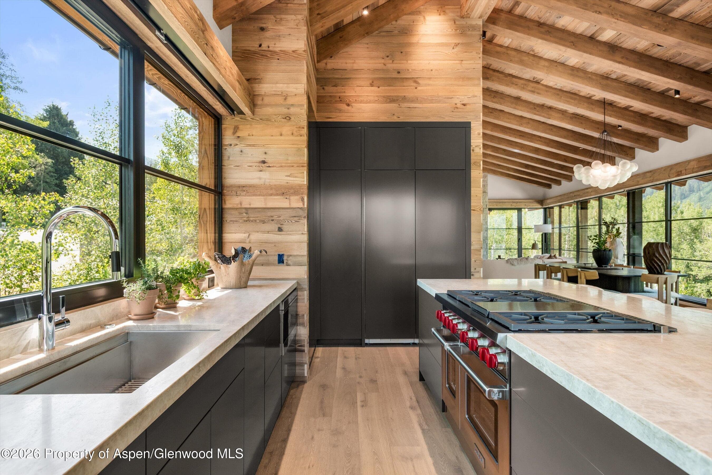 96 Mcskimming Road, Aspen, CO 81611 - Photo 11