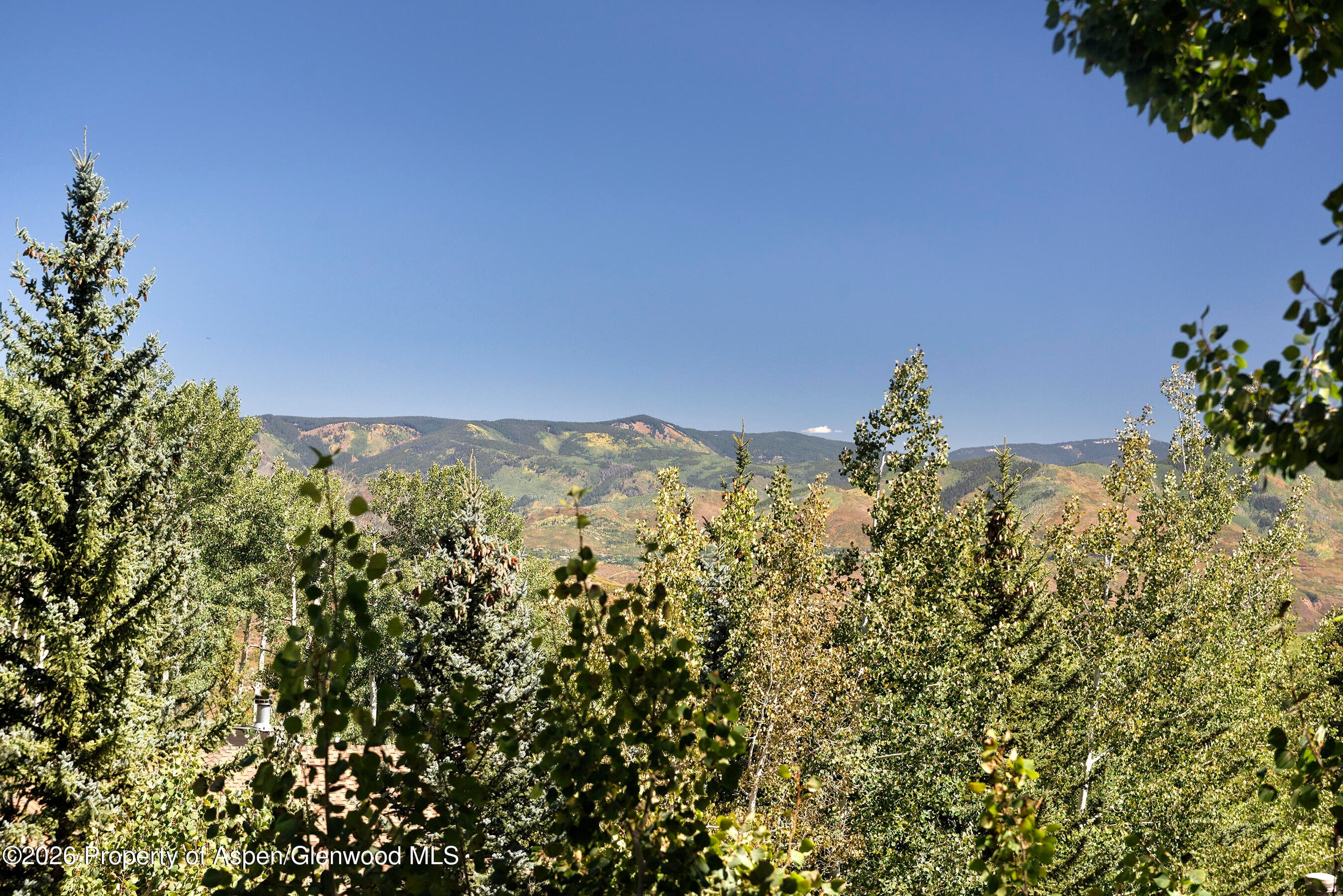 45 Ermine Lane, Snowmass Village, CO 81615 - Photo 64