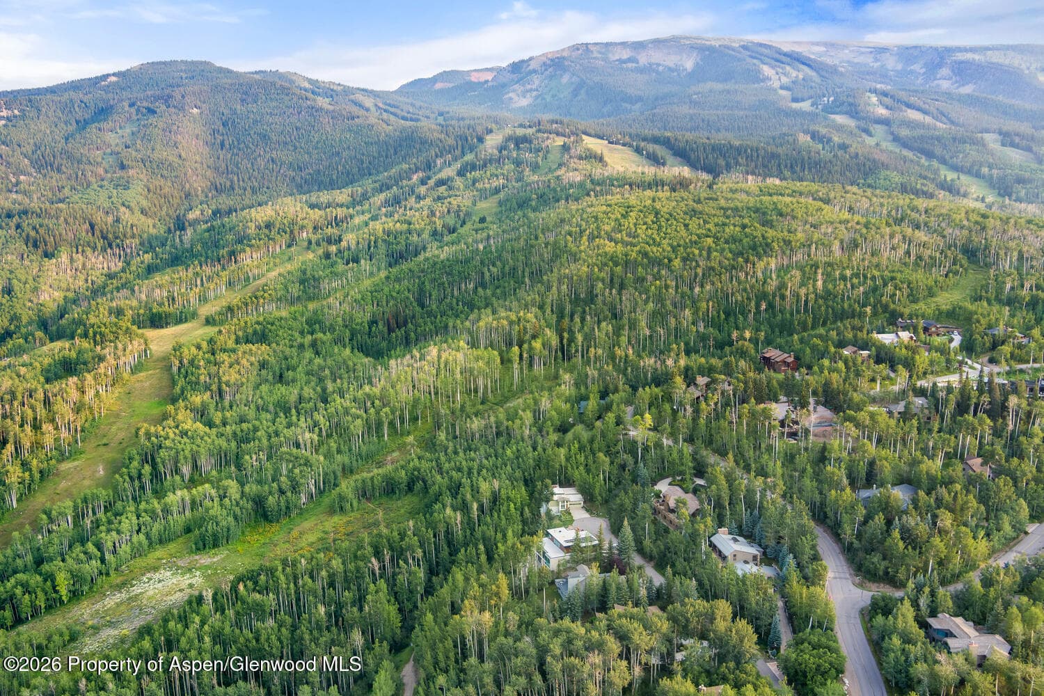 45 Ermine Lane, Snowmass Village, CO 81615 - Photo 66