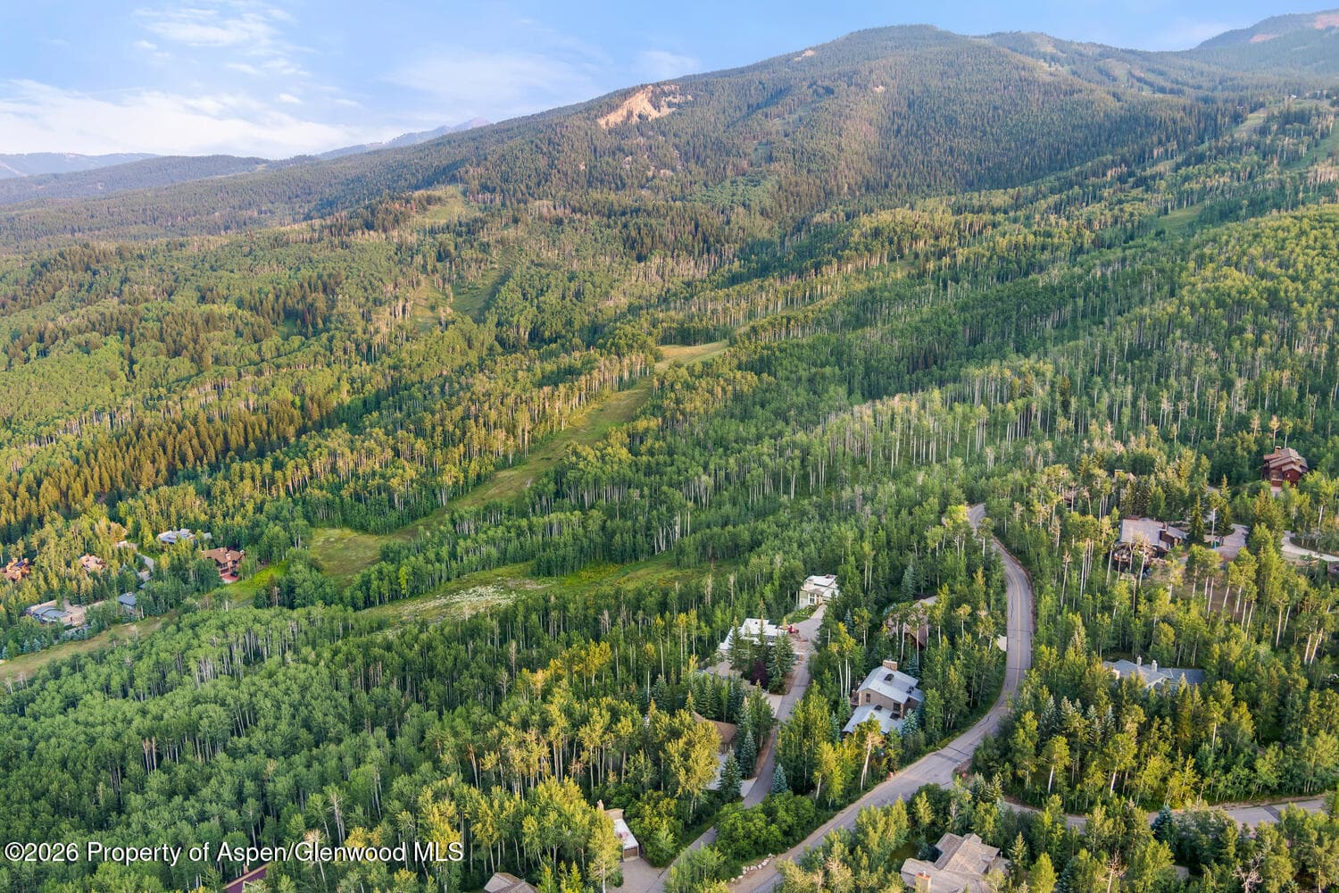 45 Ermine Lane, Snowmass Village, CO 81615 - Photo 67