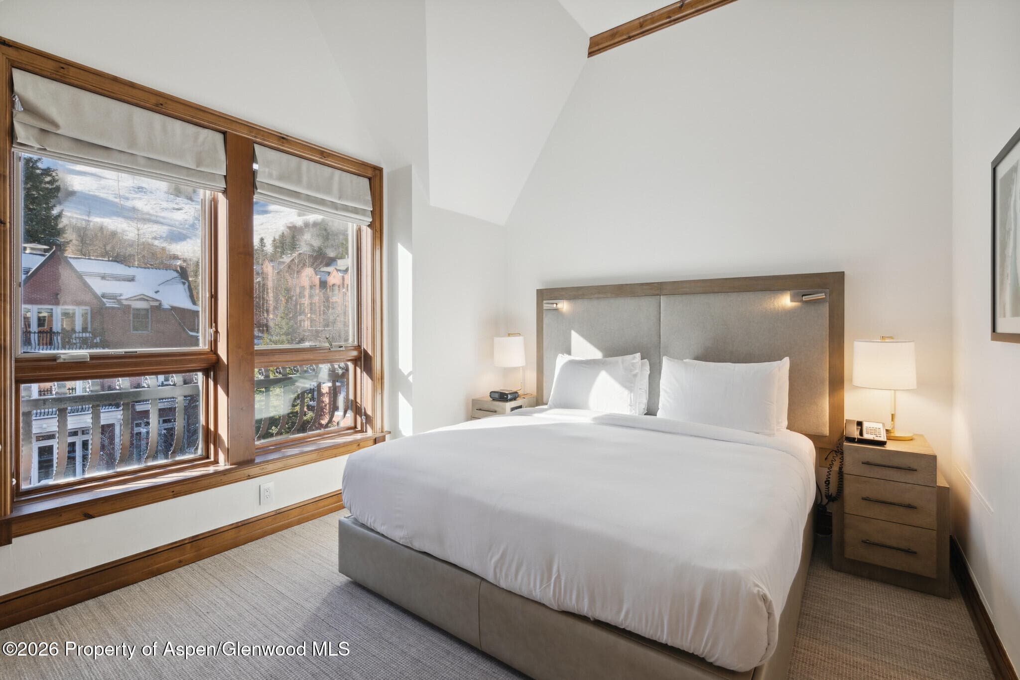 415 E Dean St., Unit 26, Week 33, Aspen, CO 81611 - Photo 12