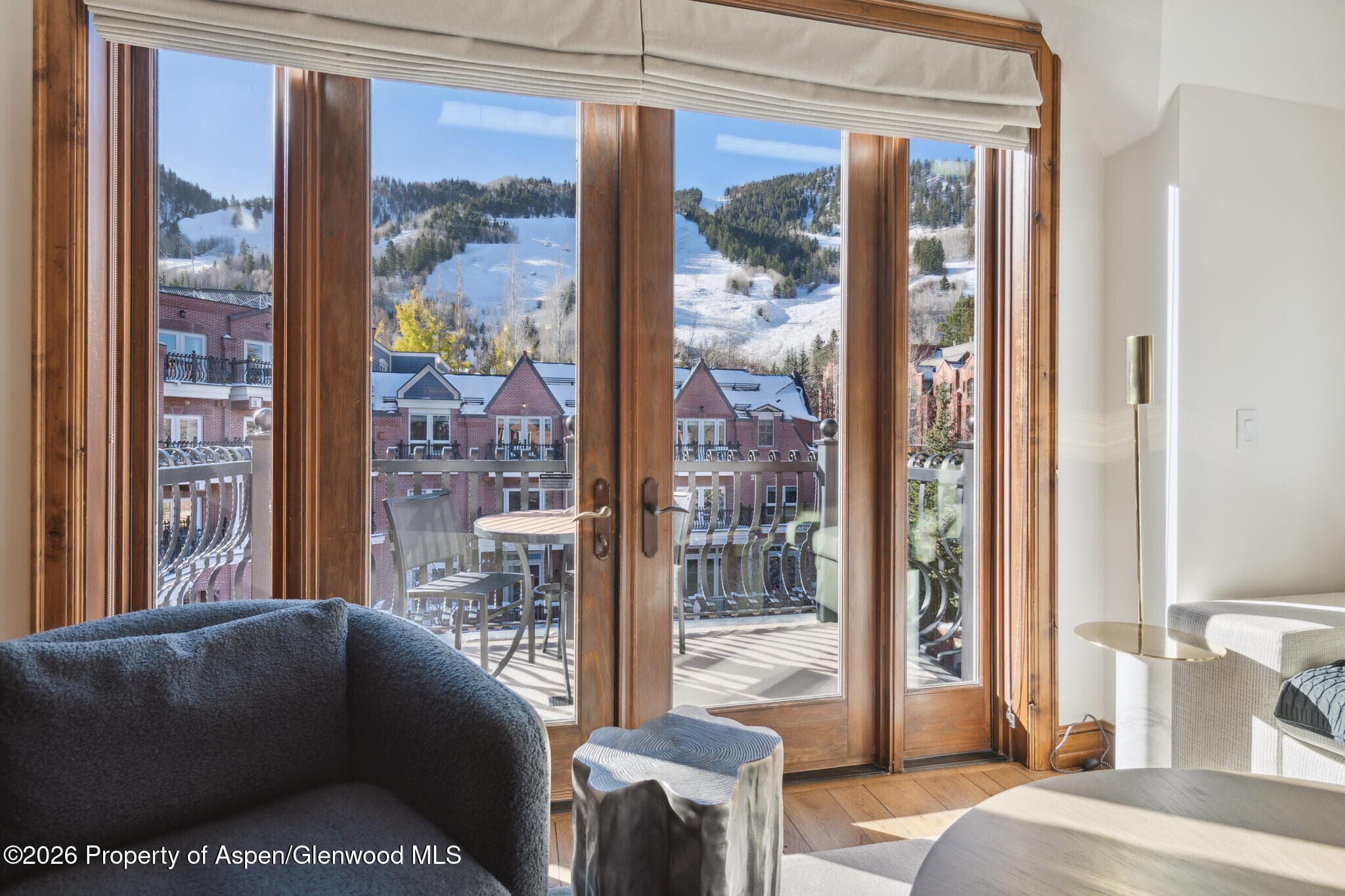 415 E Dean St., Unit 26, Week 33, Aspen, CO 81611 - Photo 14