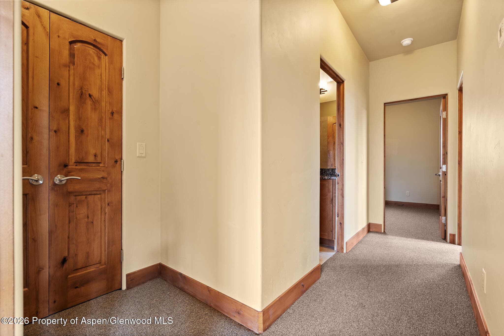 1032 Colorado Avenue, Carbondale, CO 81623 - Photo 27