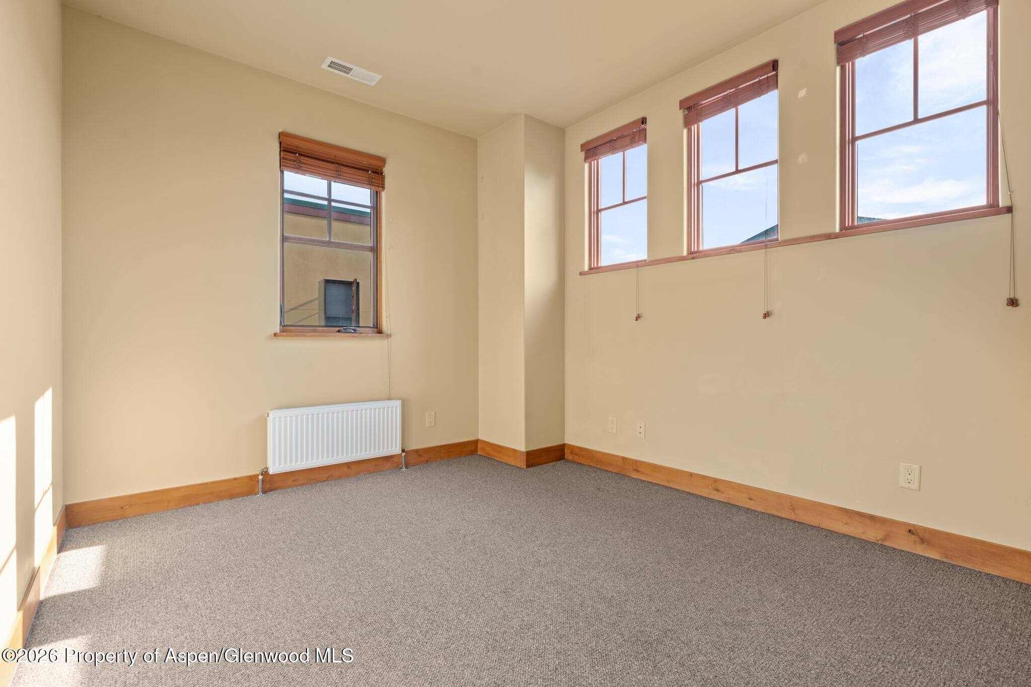 1032 Colorado Avenue, Carbondale, CO 81623 - Photo 29
