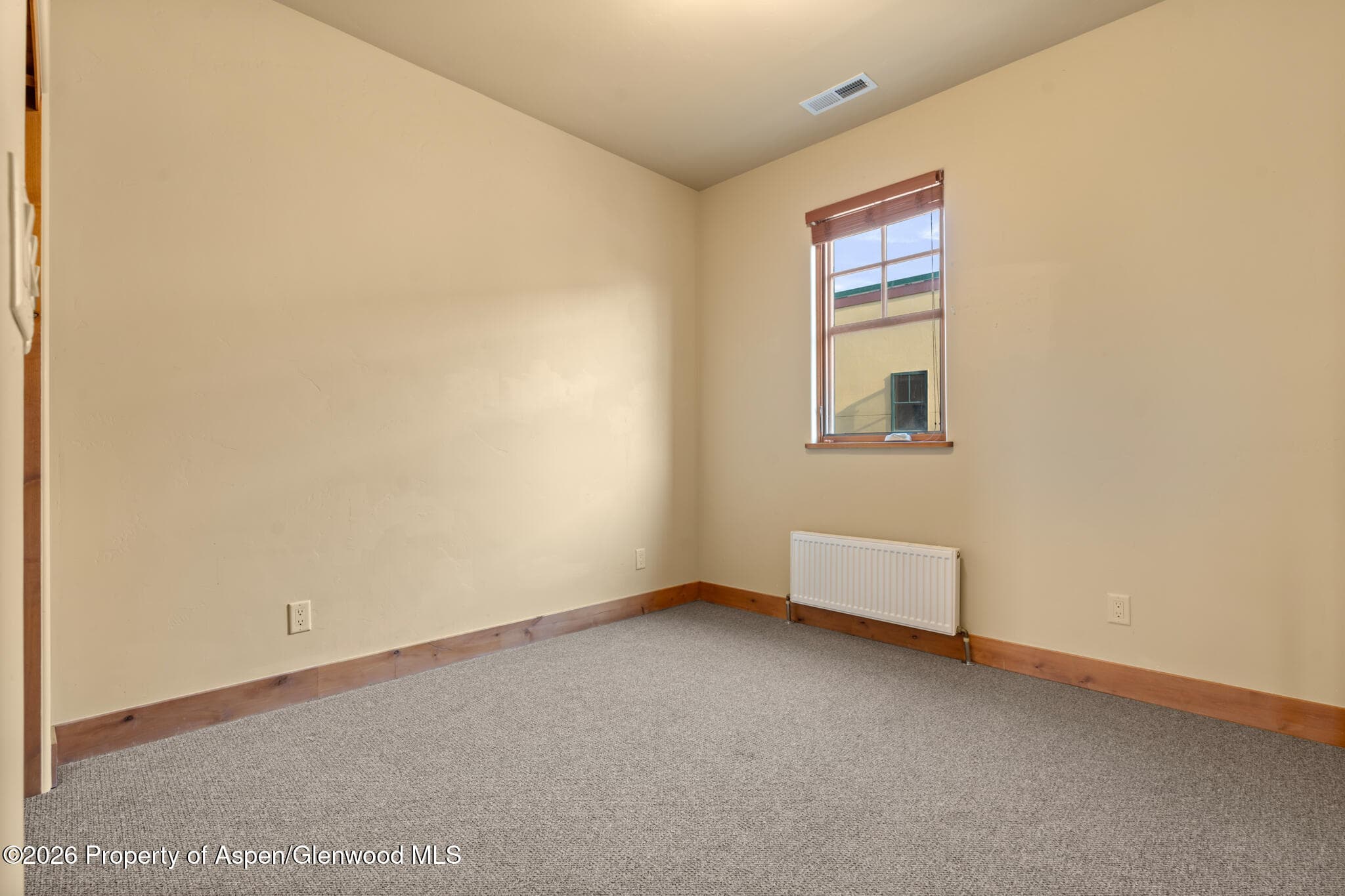 1032 Colorado Avenue, Carbondale, CO 81623 - Photo 30