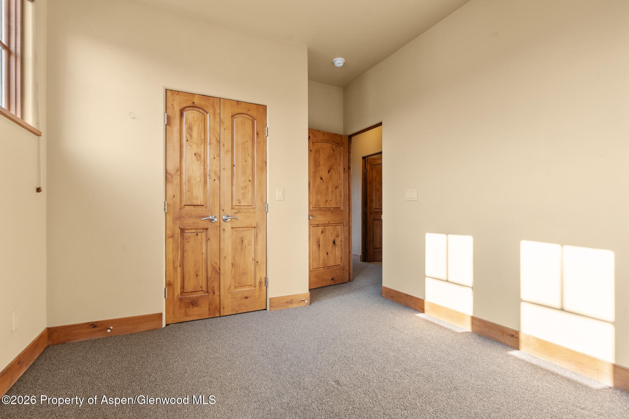 1032 Colorado Avenue, Carbondale, CO 81623 - Photo 28