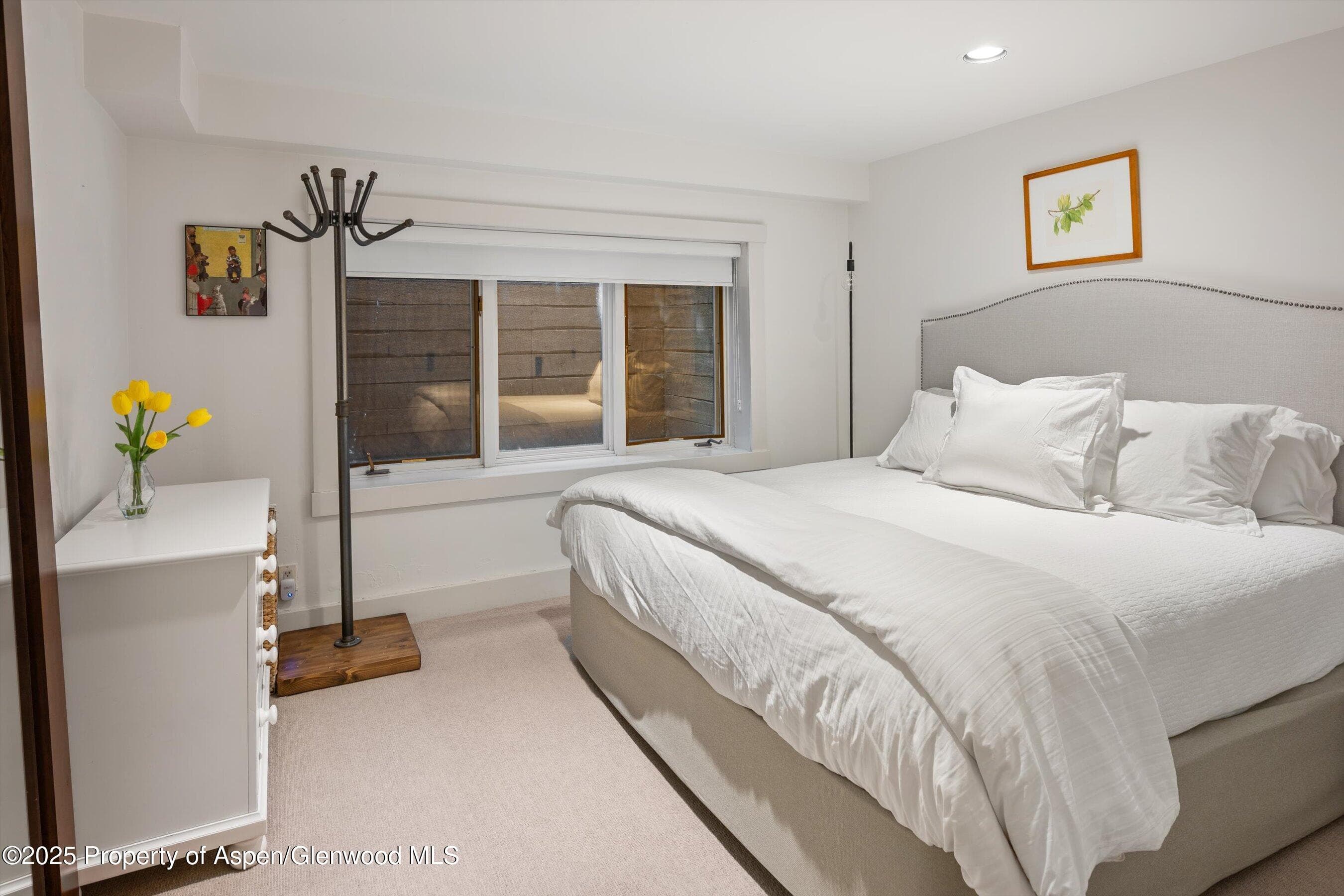 901 W Francis Street, Aspen, CO 81611 - Photo 23