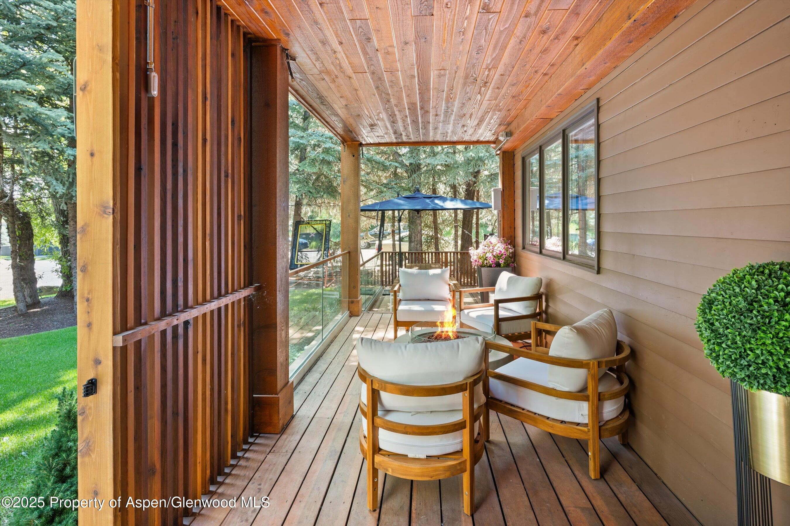 901 W Francis Street, Aspen, CO 81611 - Photo 30