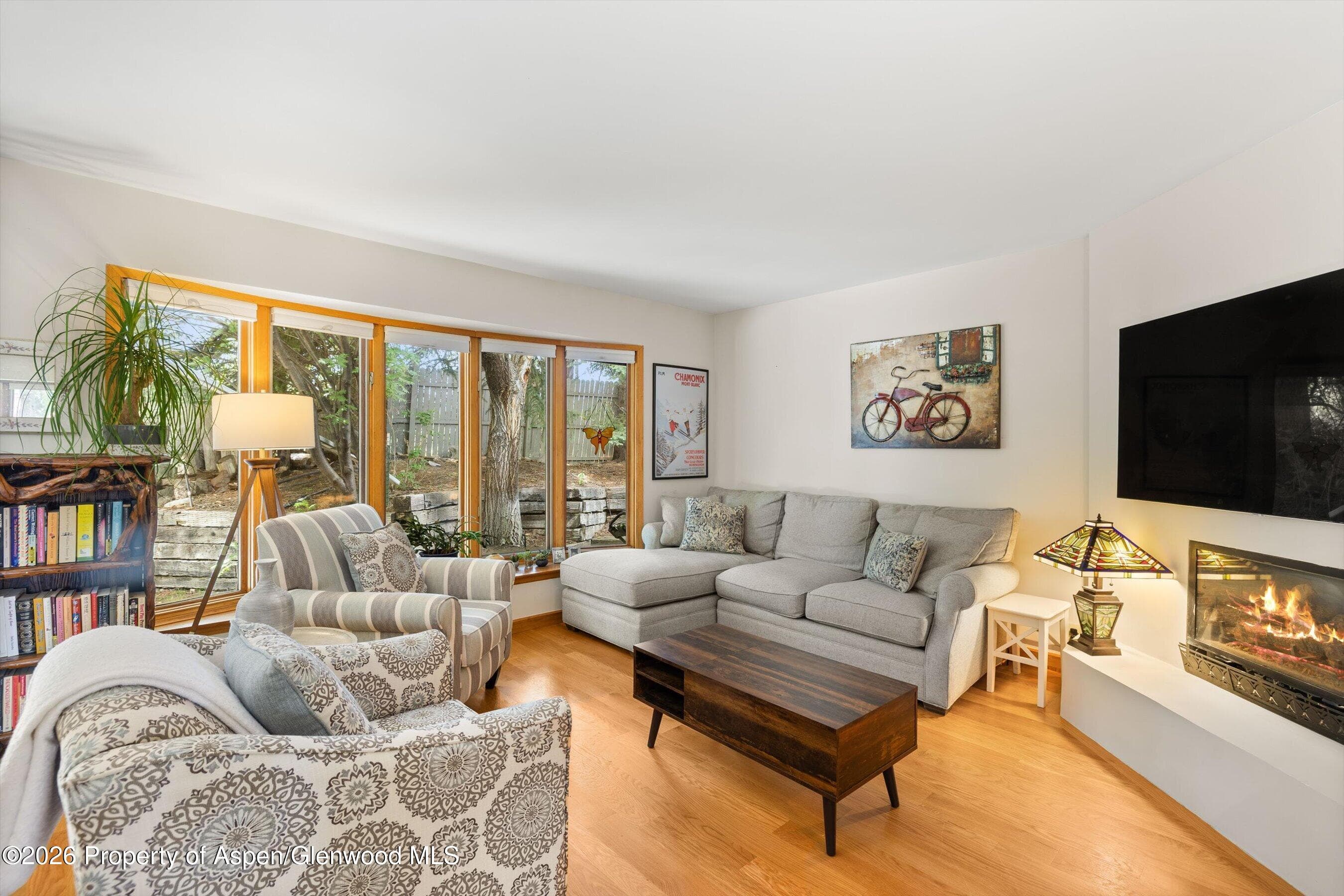 564 Grace Drive, Carbondale, CO 81623 - Photo 4