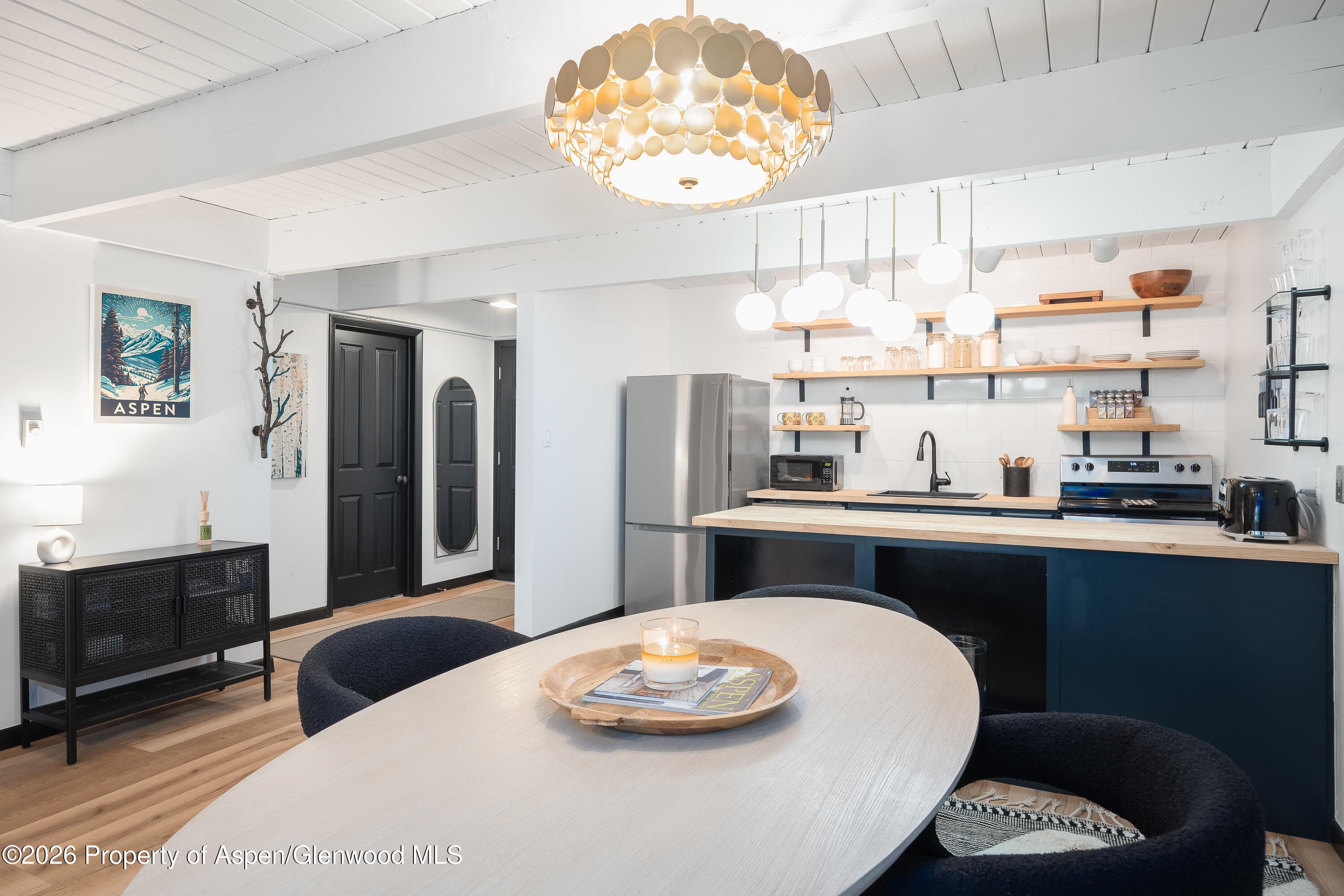 901 E Hyman Avenue 4, Aspen, CO 81611 - Photo 5