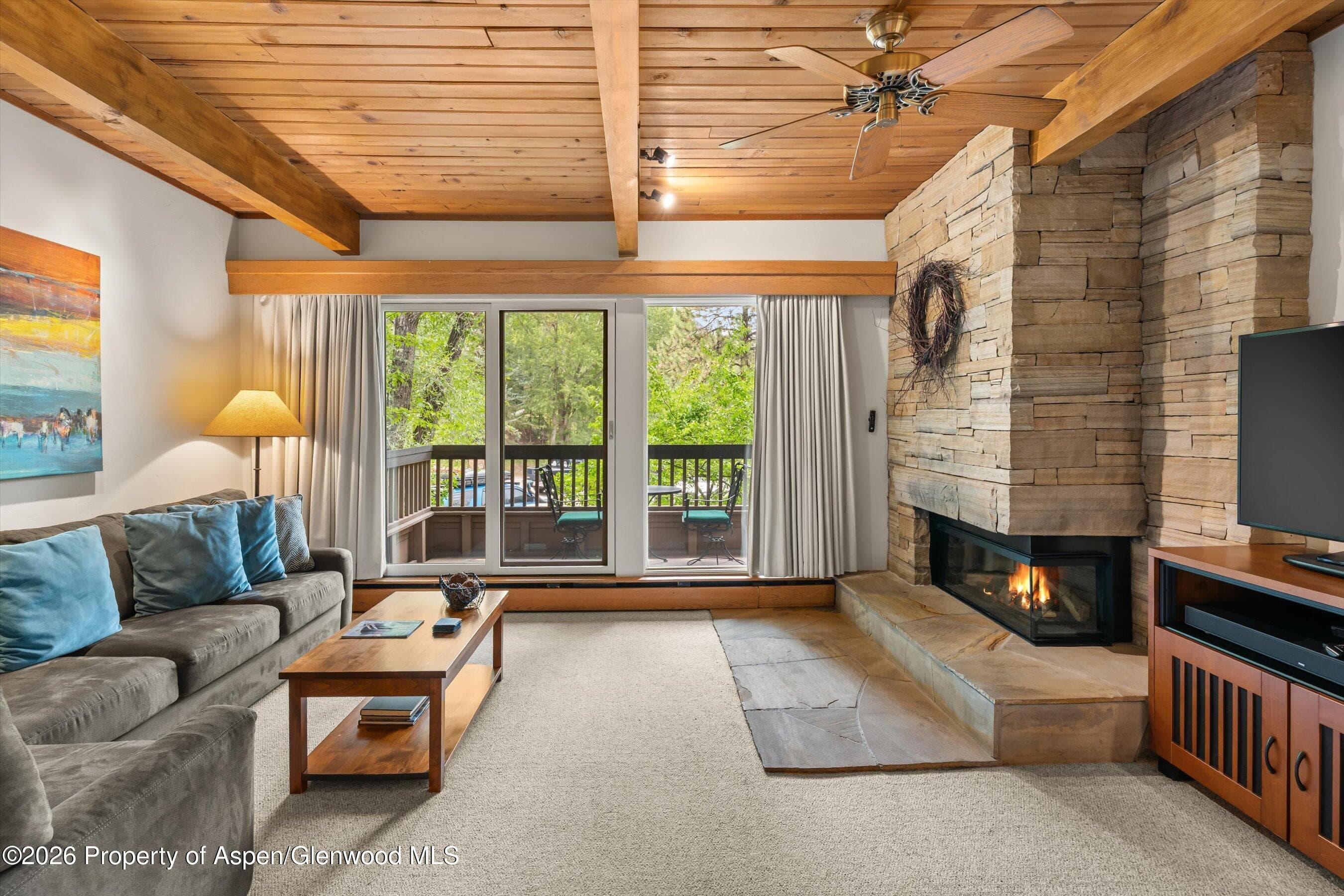 610 S West End Street J204, Aspen, CO 81611 - Photo 2