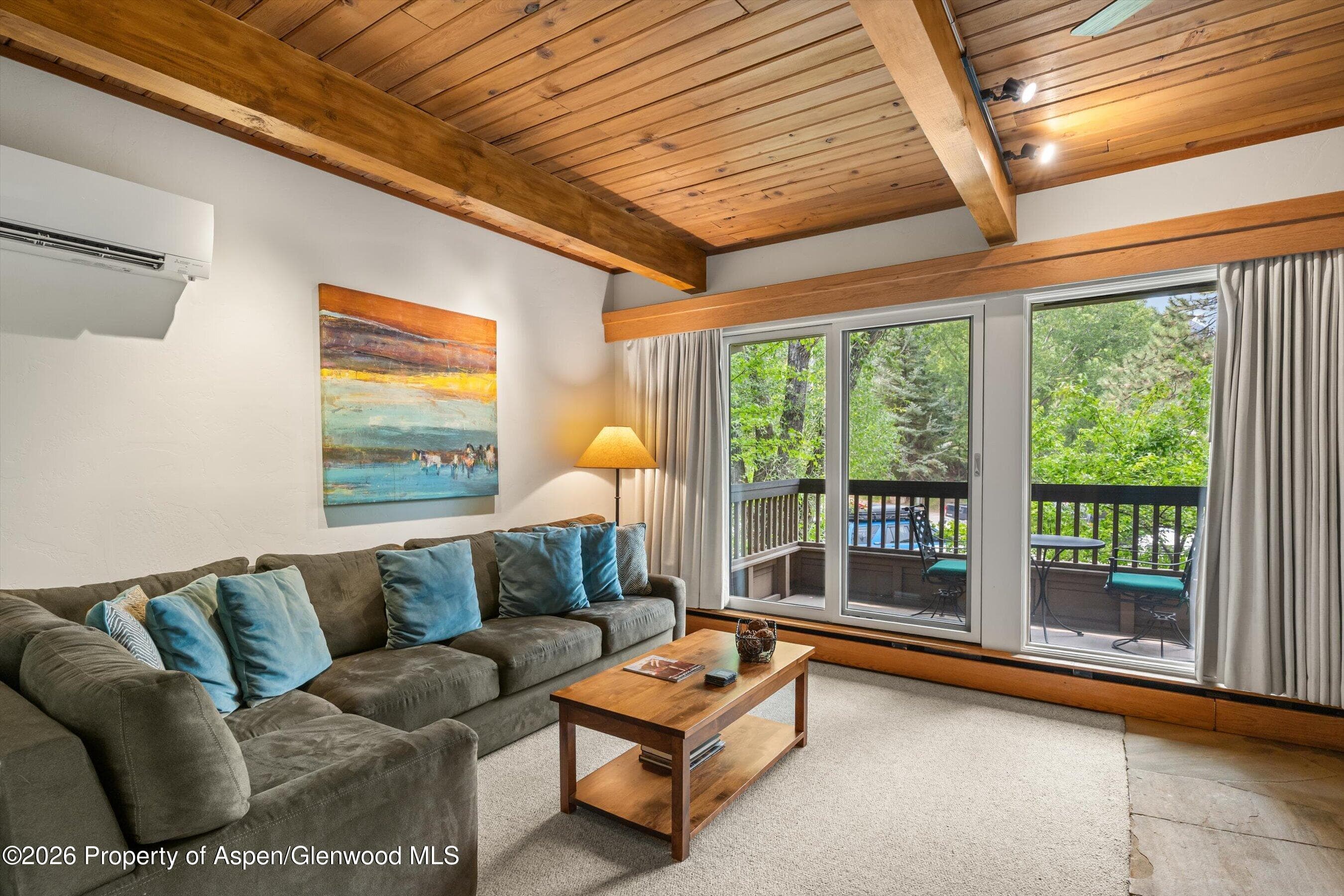 610 S West End Street J204, Aspen, CO 81611 - Photo 6