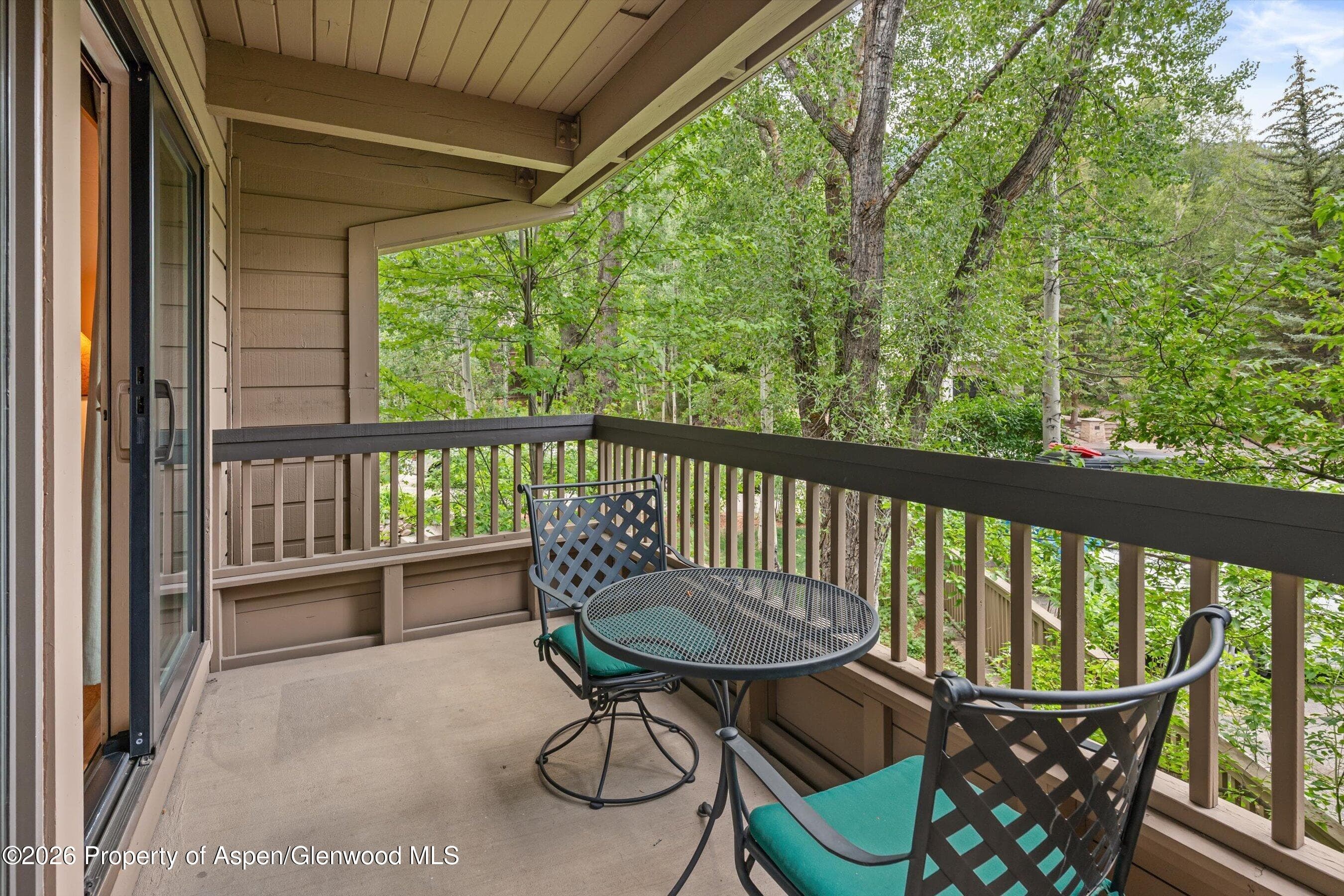 610 S West End Street J204, Aspen, CO 81611 - Photo 13
