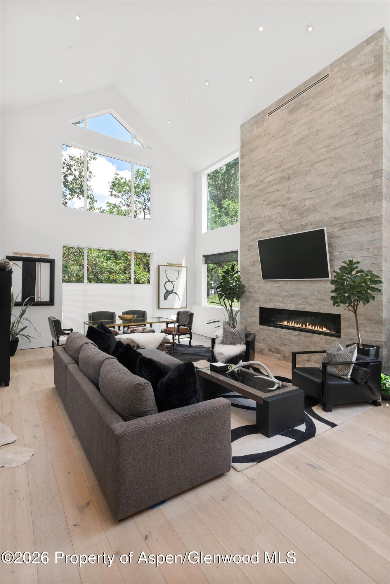 813 W Smuggler Street, Aspen, CO 81611 - Photo 5